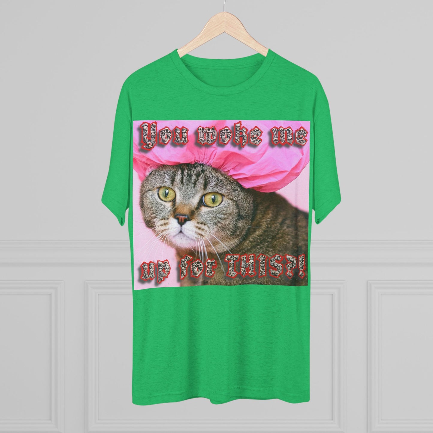 You Woke Me up for THIS? - cat shirt - Unisex Tri-Blend Crew Tee