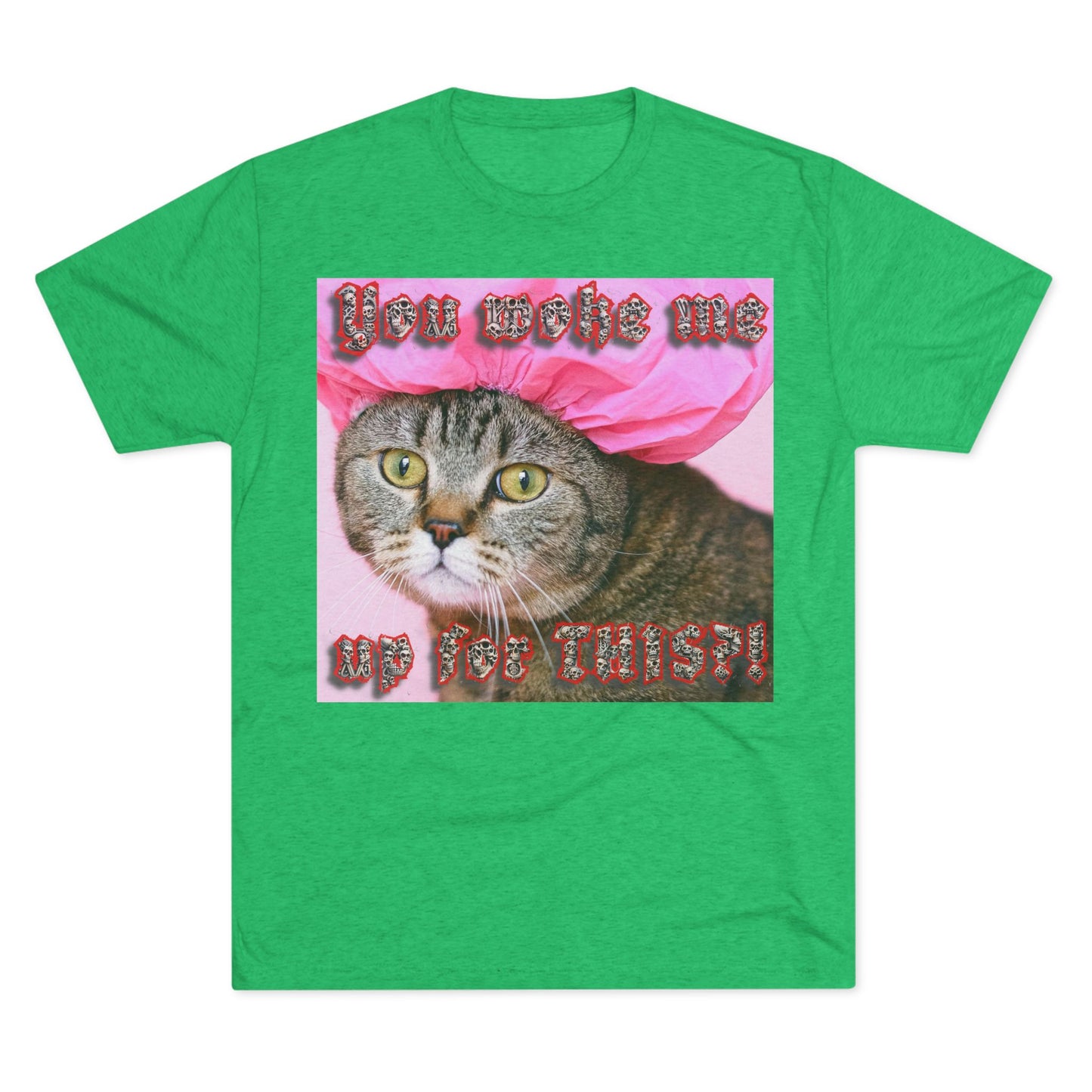 You Woke Me up for THIS? - cat shirt - Unisex Tri-Blend Crew Tee