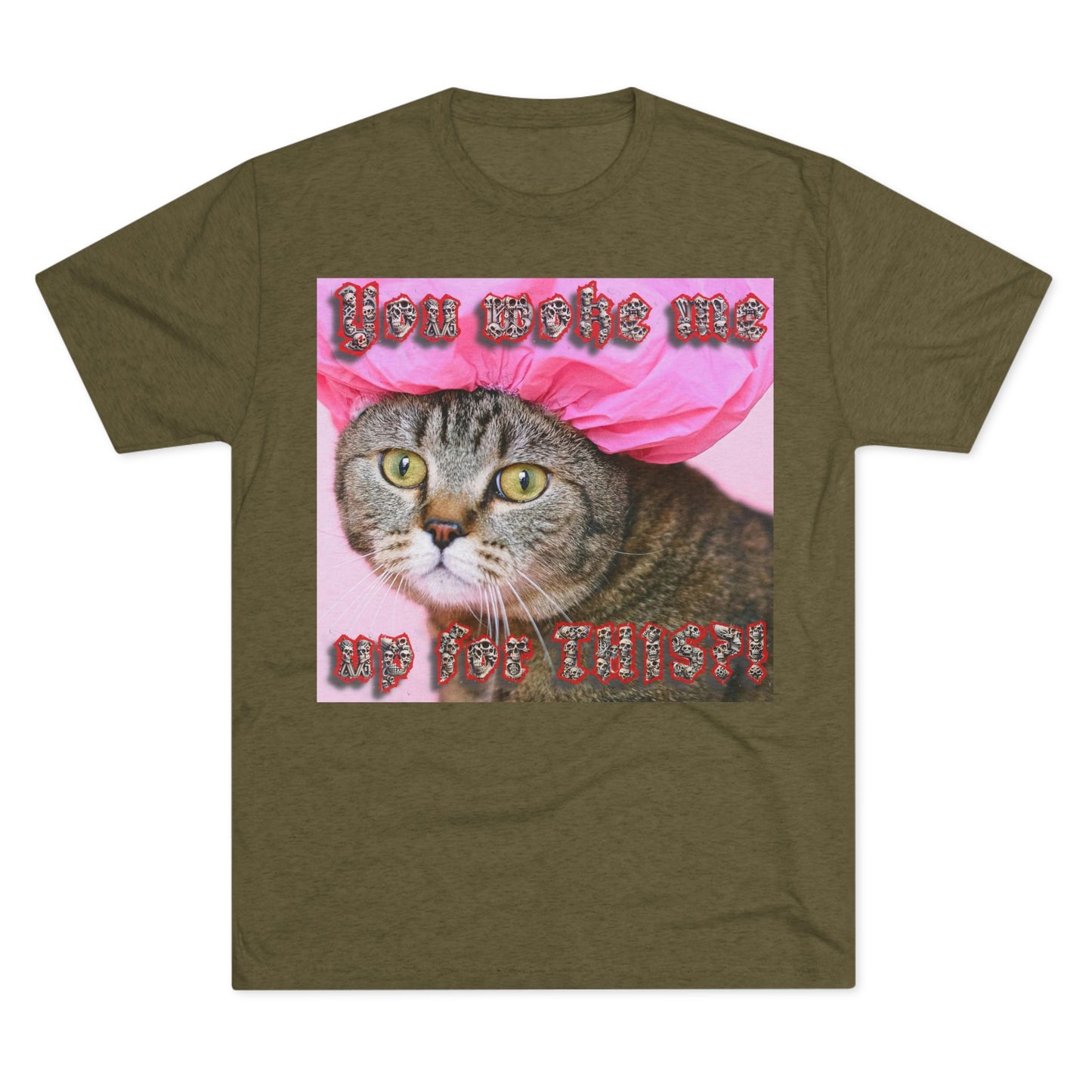 You Woke Me up for THIS? - cat shirt - Unisex Tri-Blend Crew Tee
