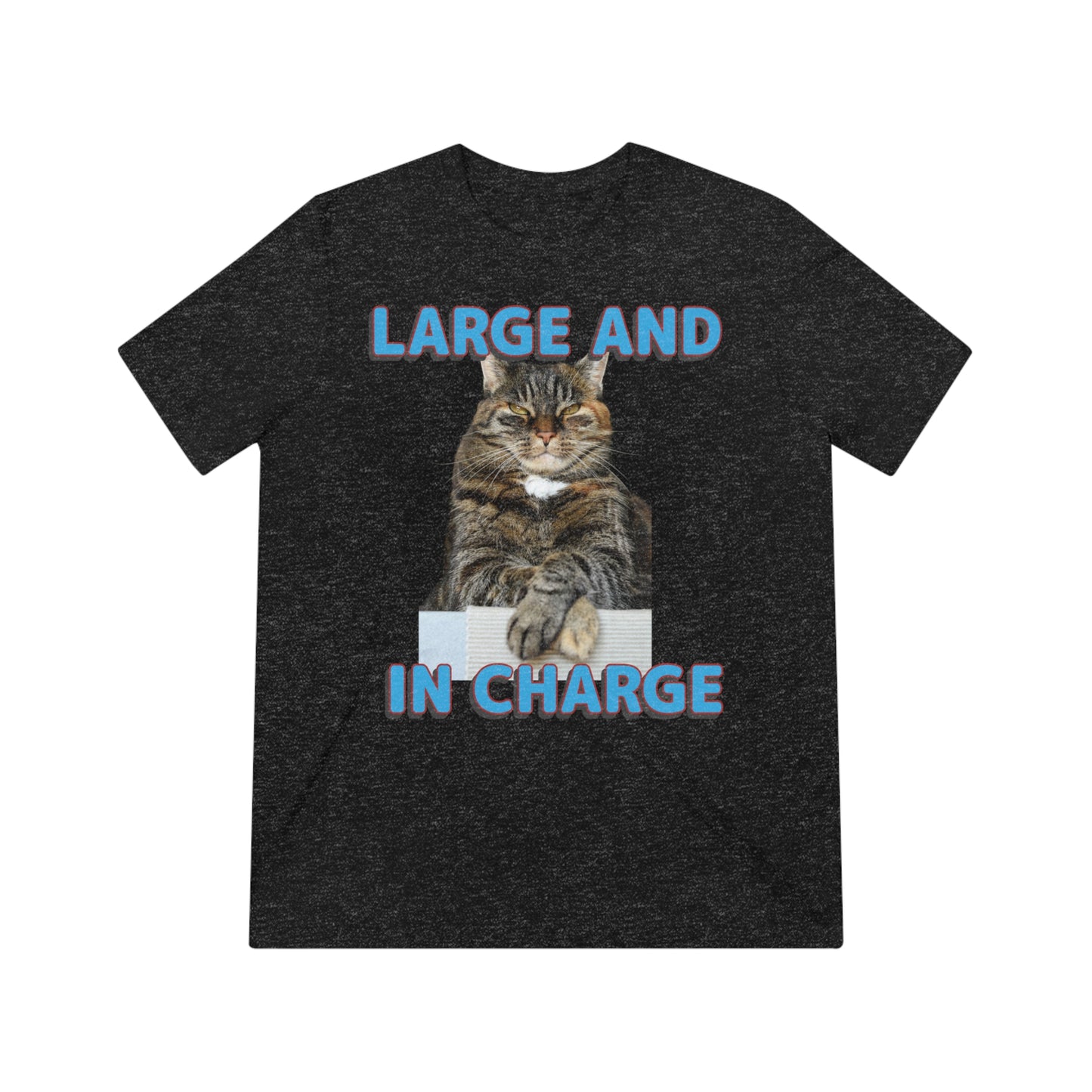 Large and in Charge cat shirt - Unisex Triblend Tee