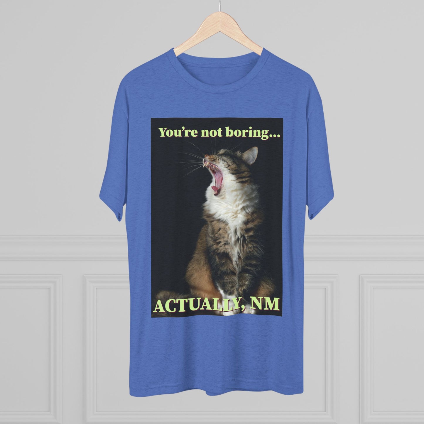 You're Not Boring, Actually NM - cat shirt - Unisex Triblend Tee