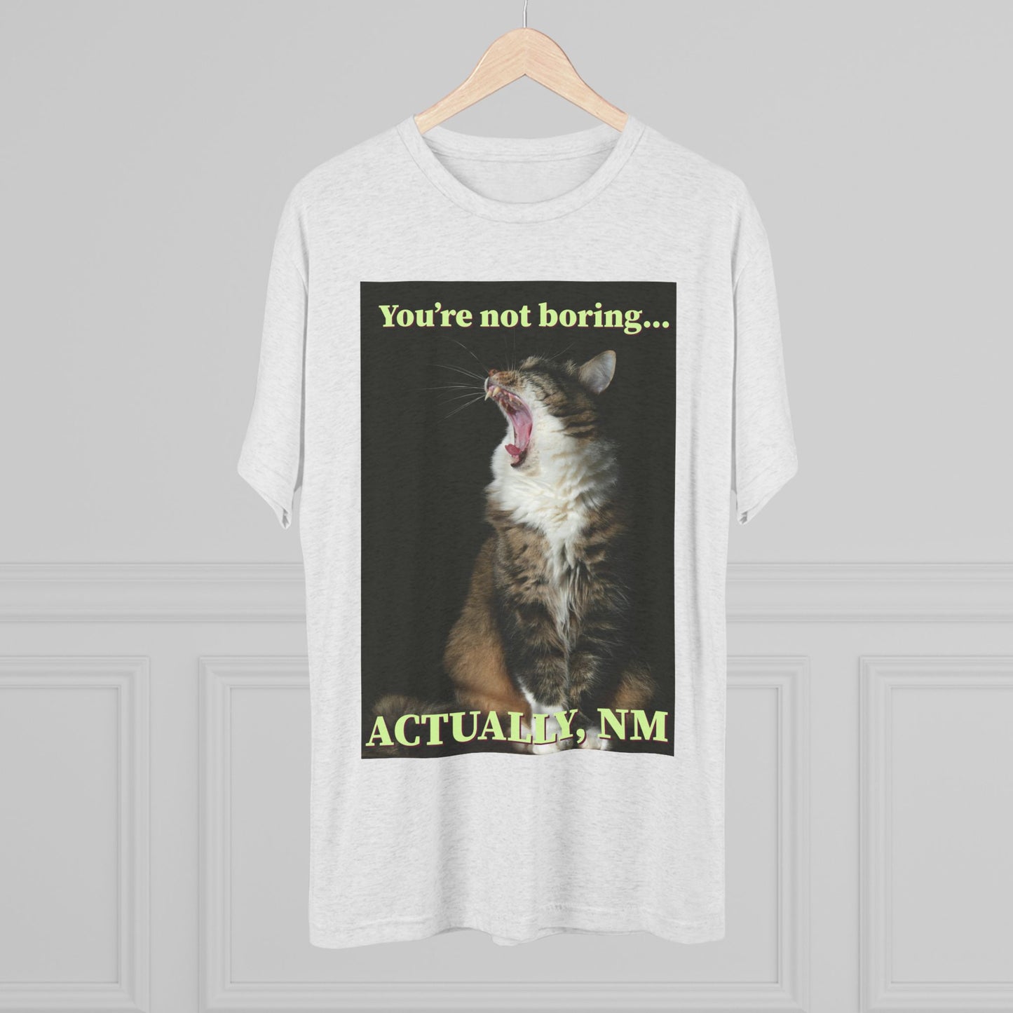 You're Not Boring, Actually NM - cat shirt - Unisex Triblend Tee