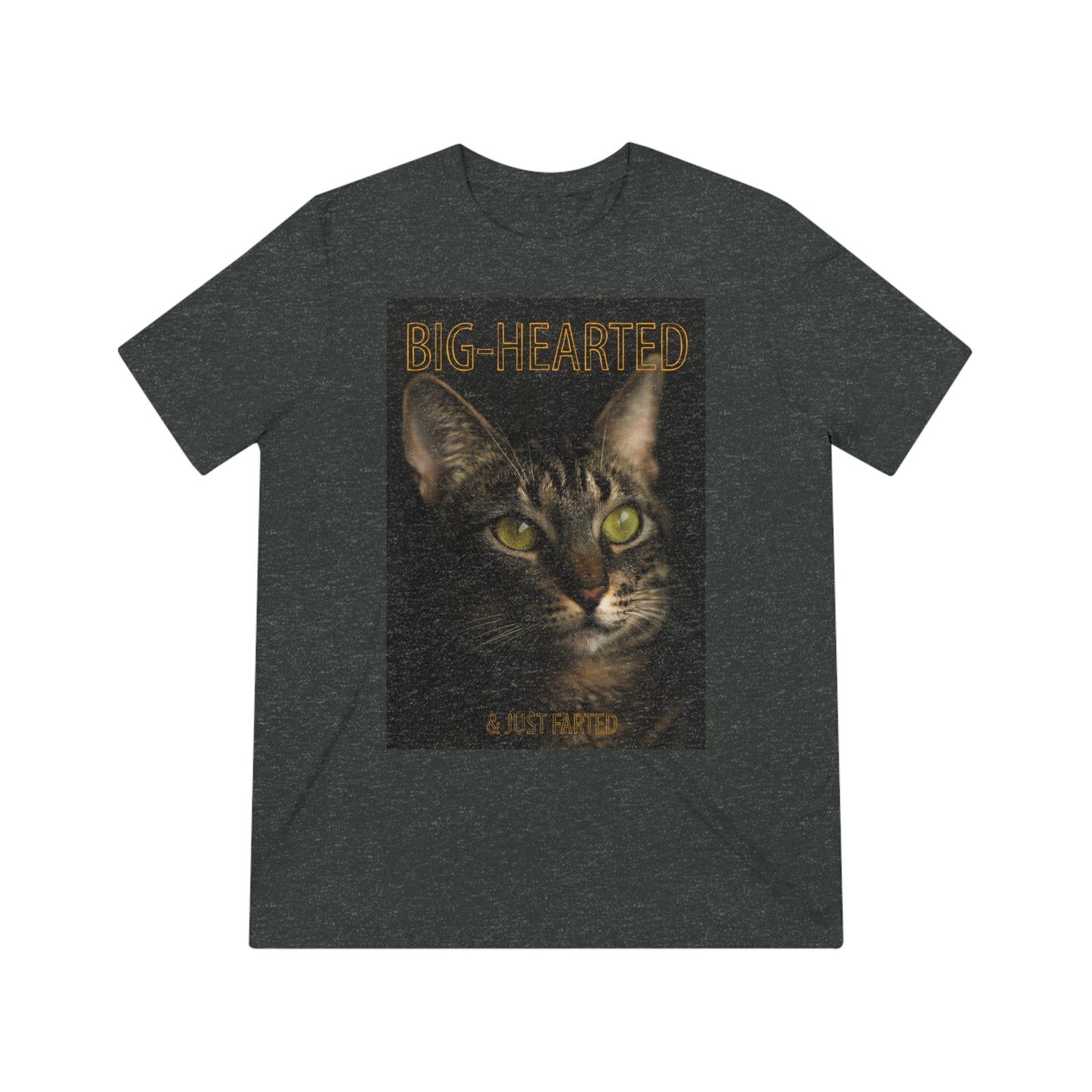 Big-Hearted, Just Farted cat shirt - Unisex Triblend Tee