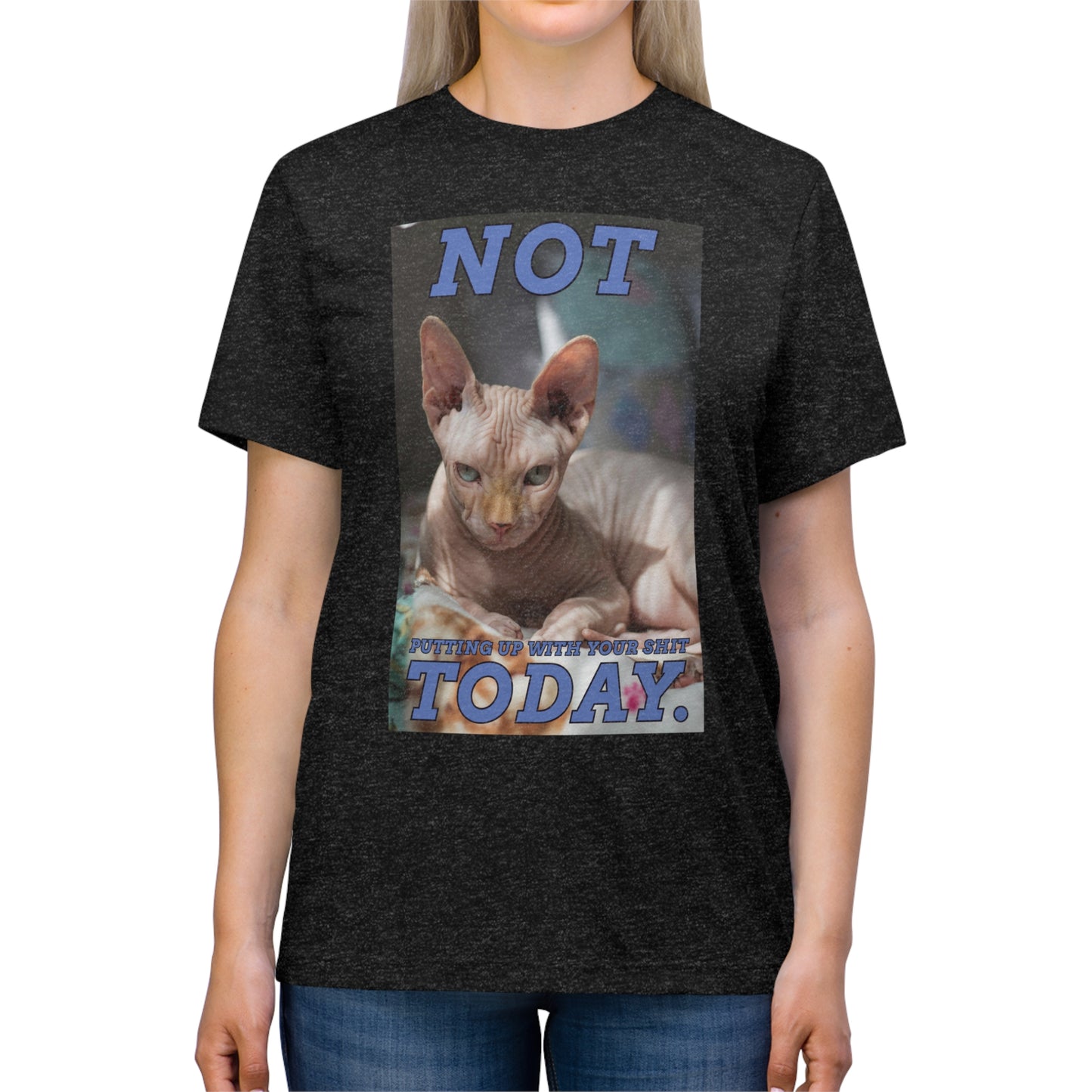 Not Today - cat shirt - Unisex Triblend Tee