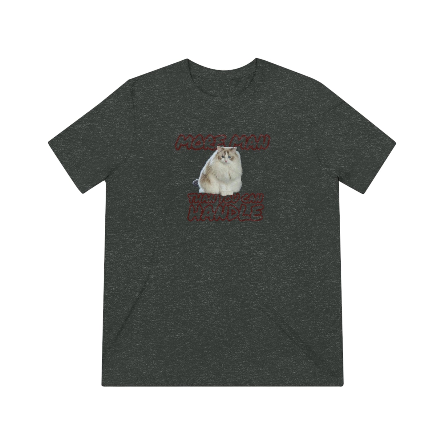 BIG BOI - cat shirt - Unisex Triblend Tee