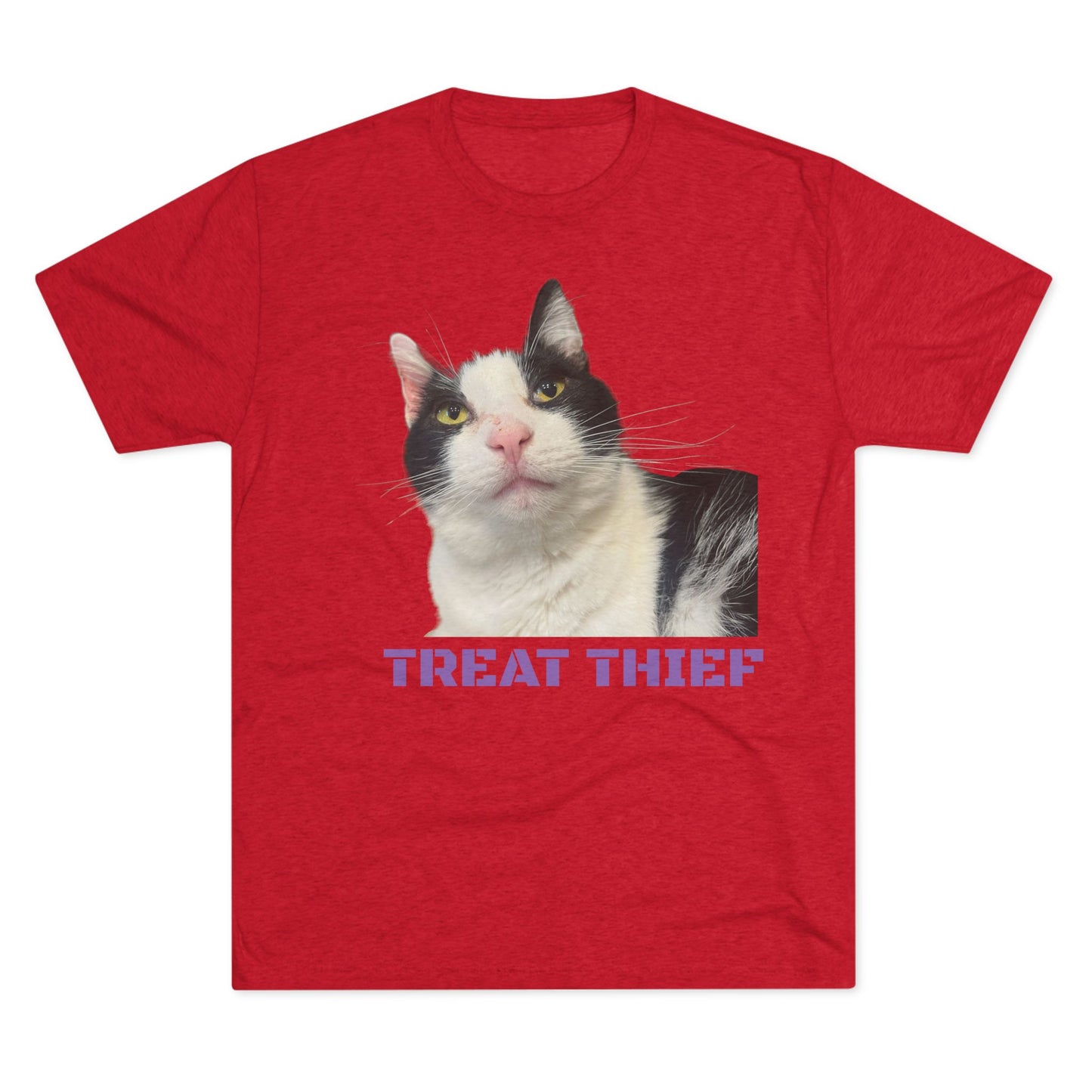 Treat Thief (Sugar) tee