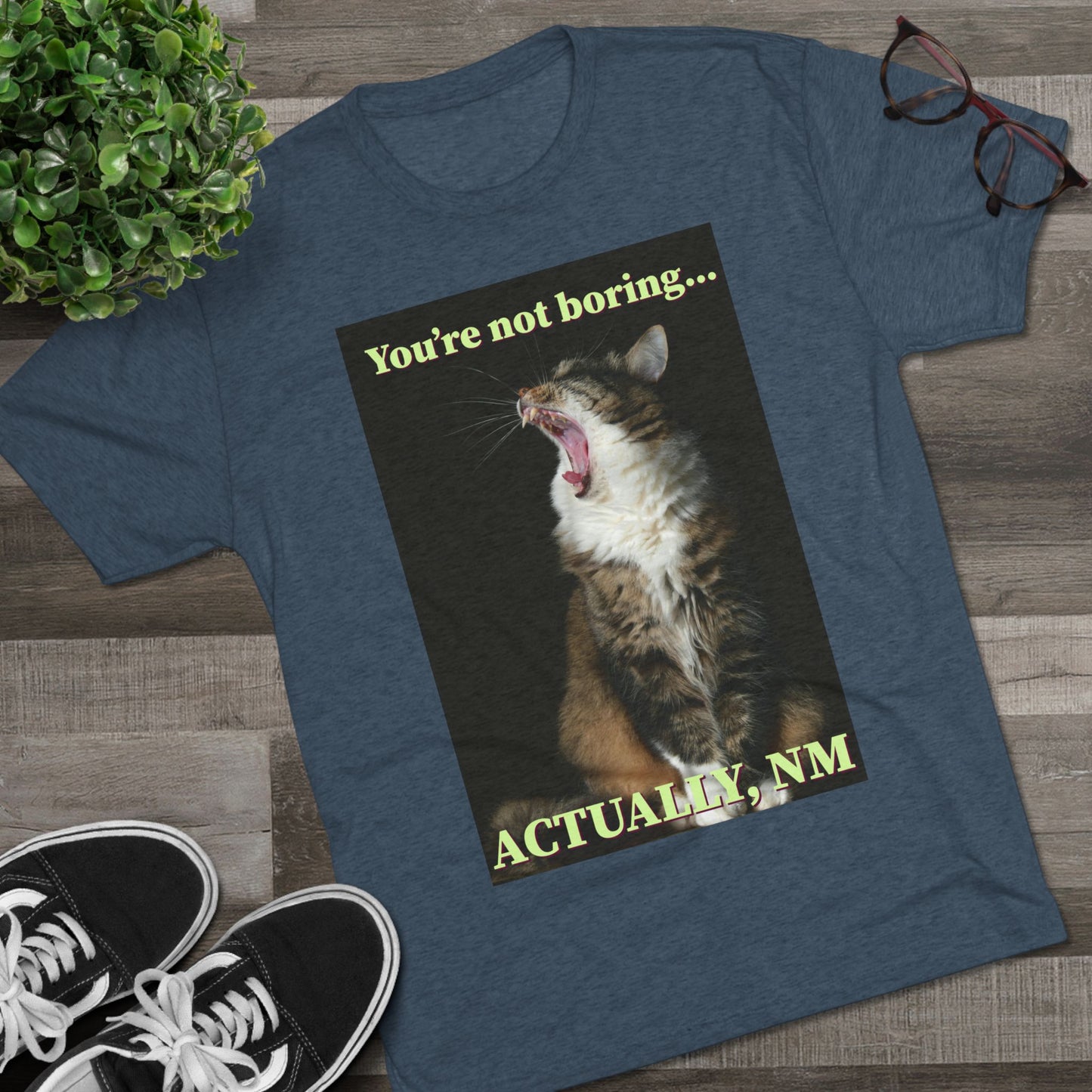 You're Not Boring, Actually NM - cat shirt - Unisex Triblend Tee