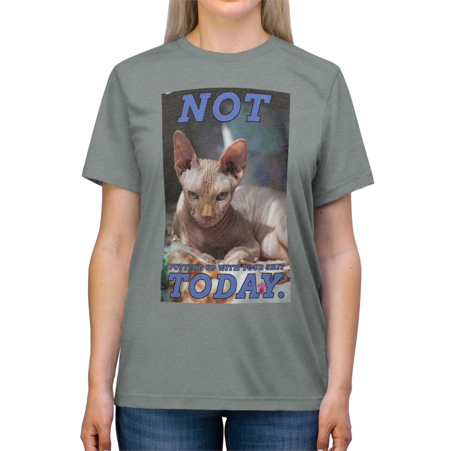 Not Today - cat shirt - Unisex Triblend Tee