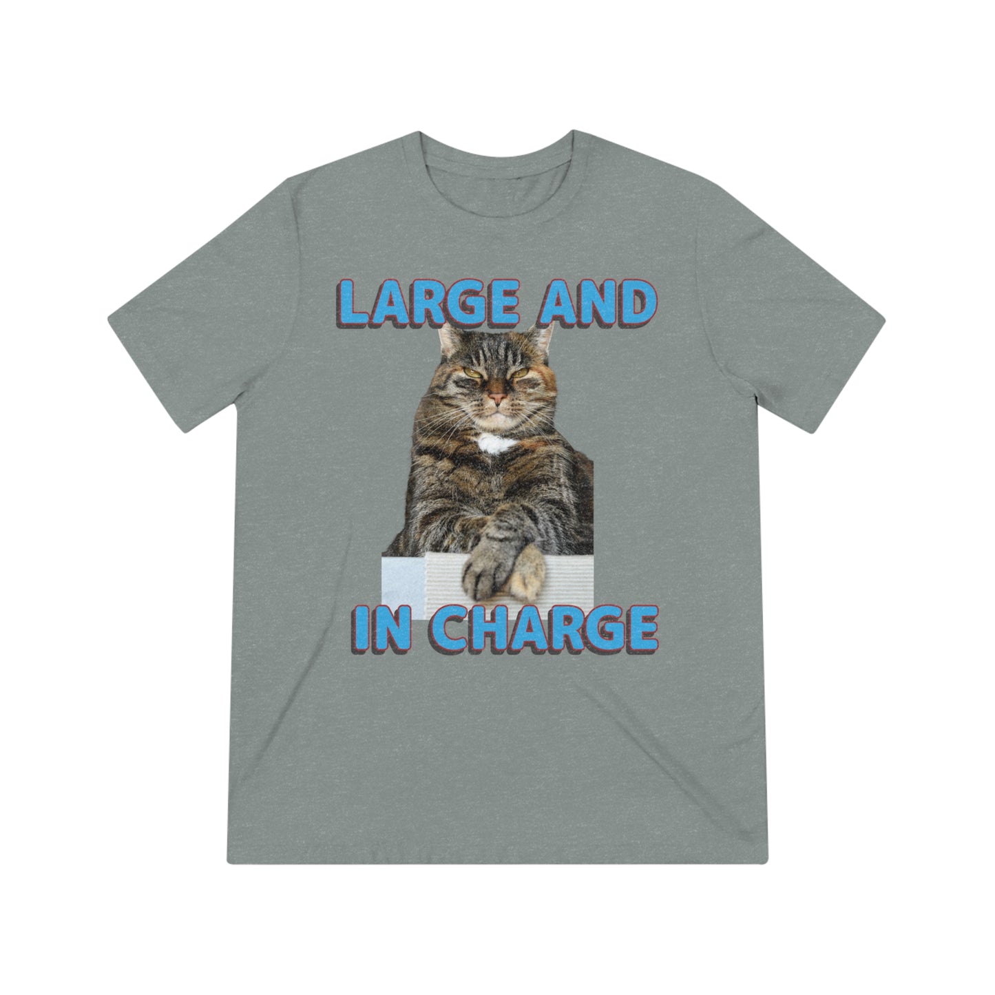 Large and in Charge cat shirt - Unisex Triblend Tee