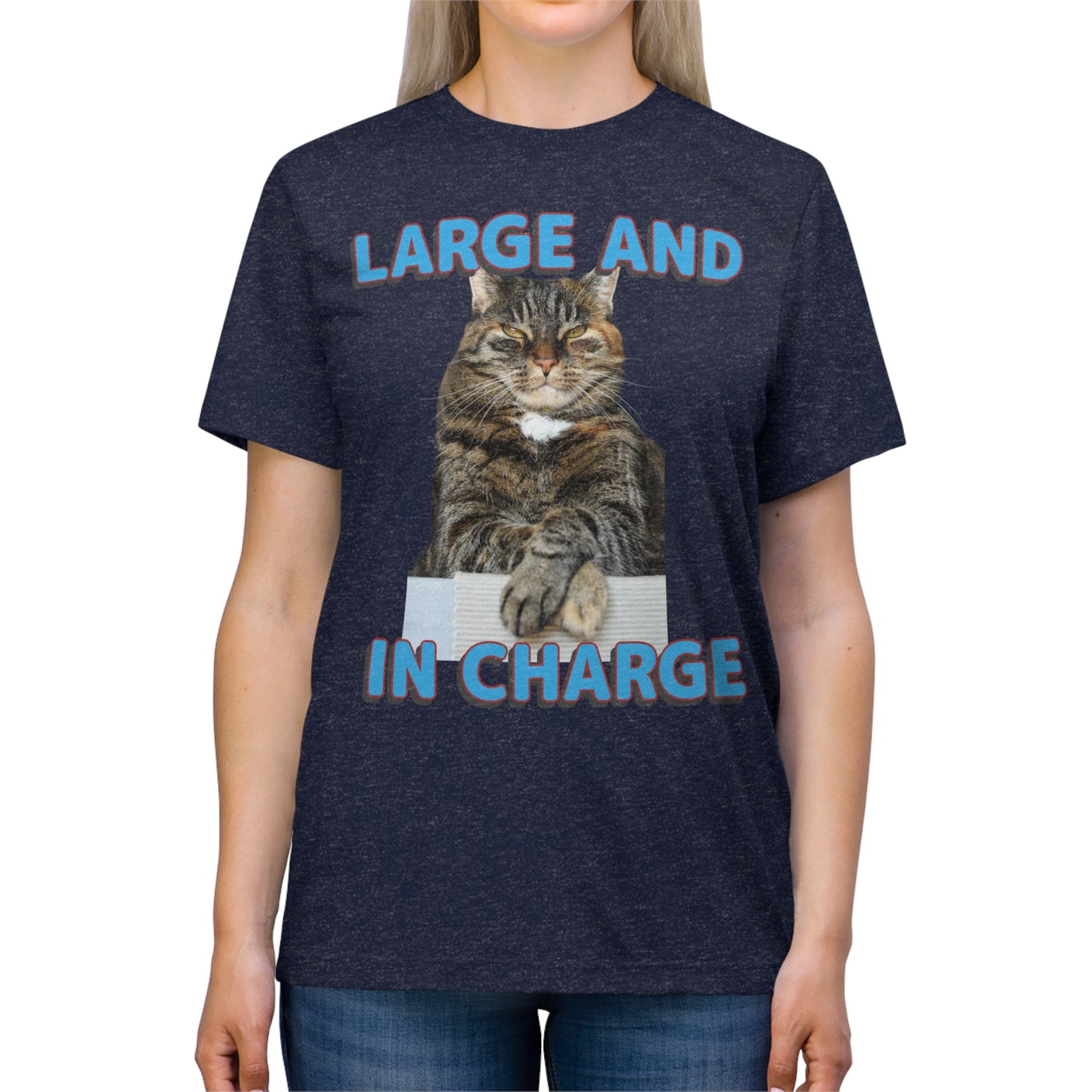 Large and in Charge cat shirt - Unisex Triblend Tee