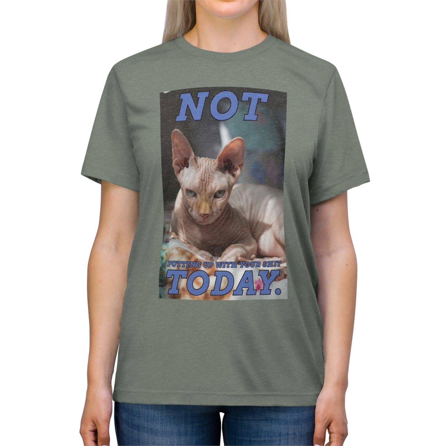 Not Today - cat shirt - Unisex Triblend Tee