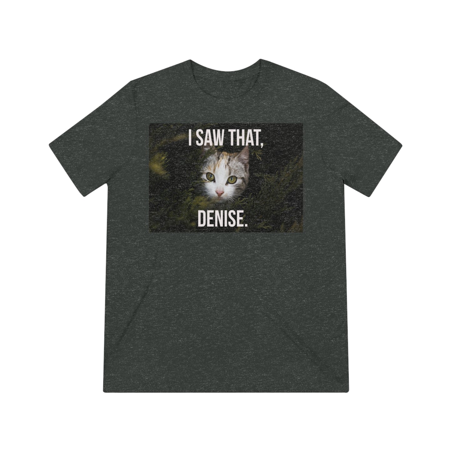 I Saw That, DENISE - cat shirt - Unisex Triblend Tee