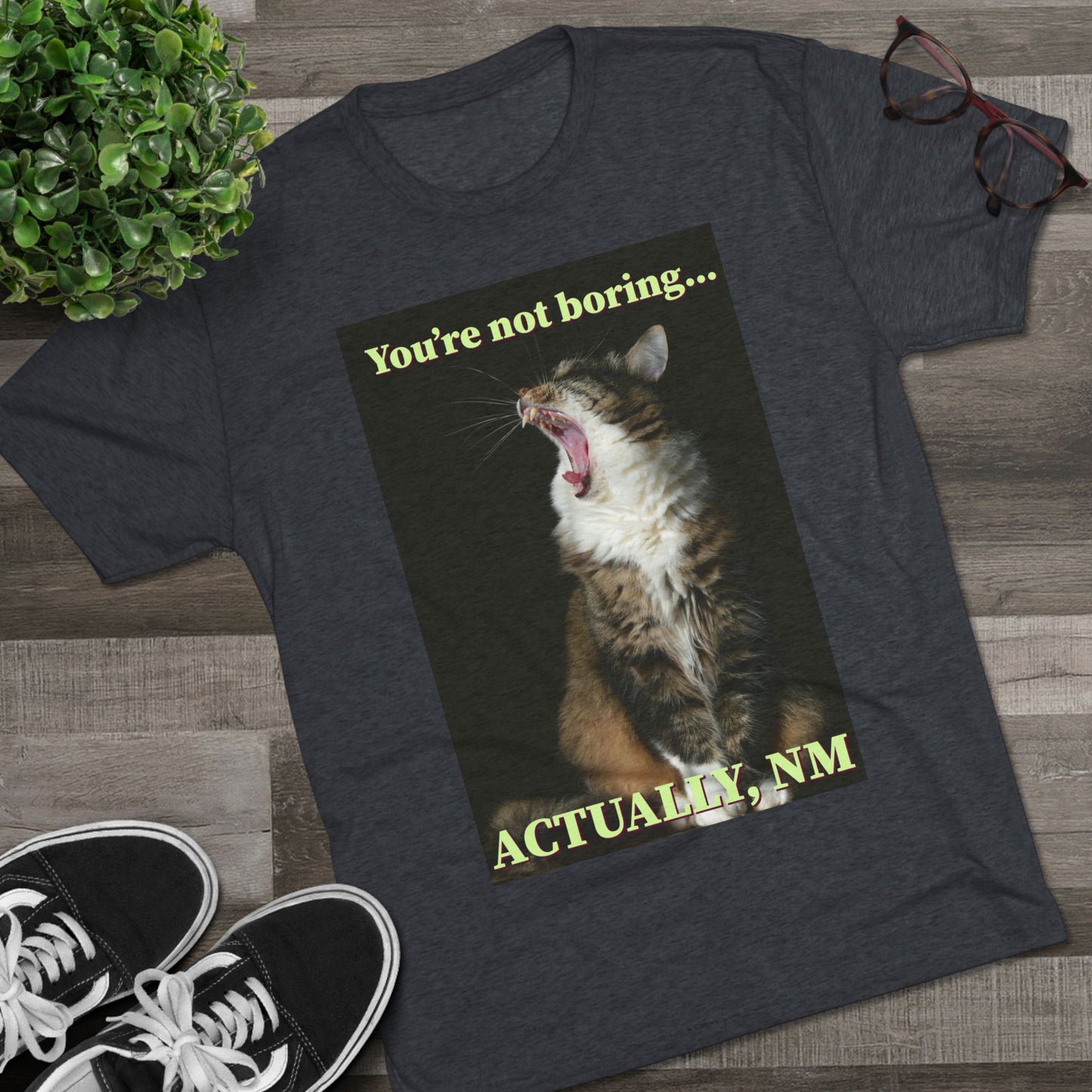 You're Not Boring, Actually NM - cat shirt - Unisex Triblend Tee