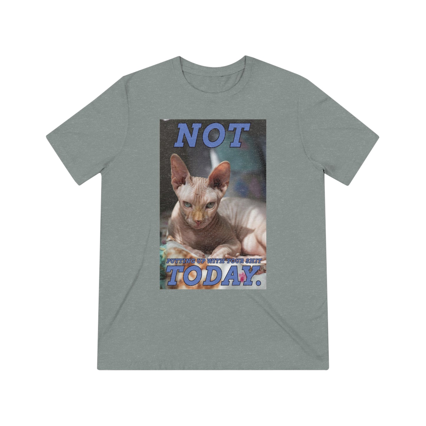 Not Today - cat shirt - Unisex Triblend Tee