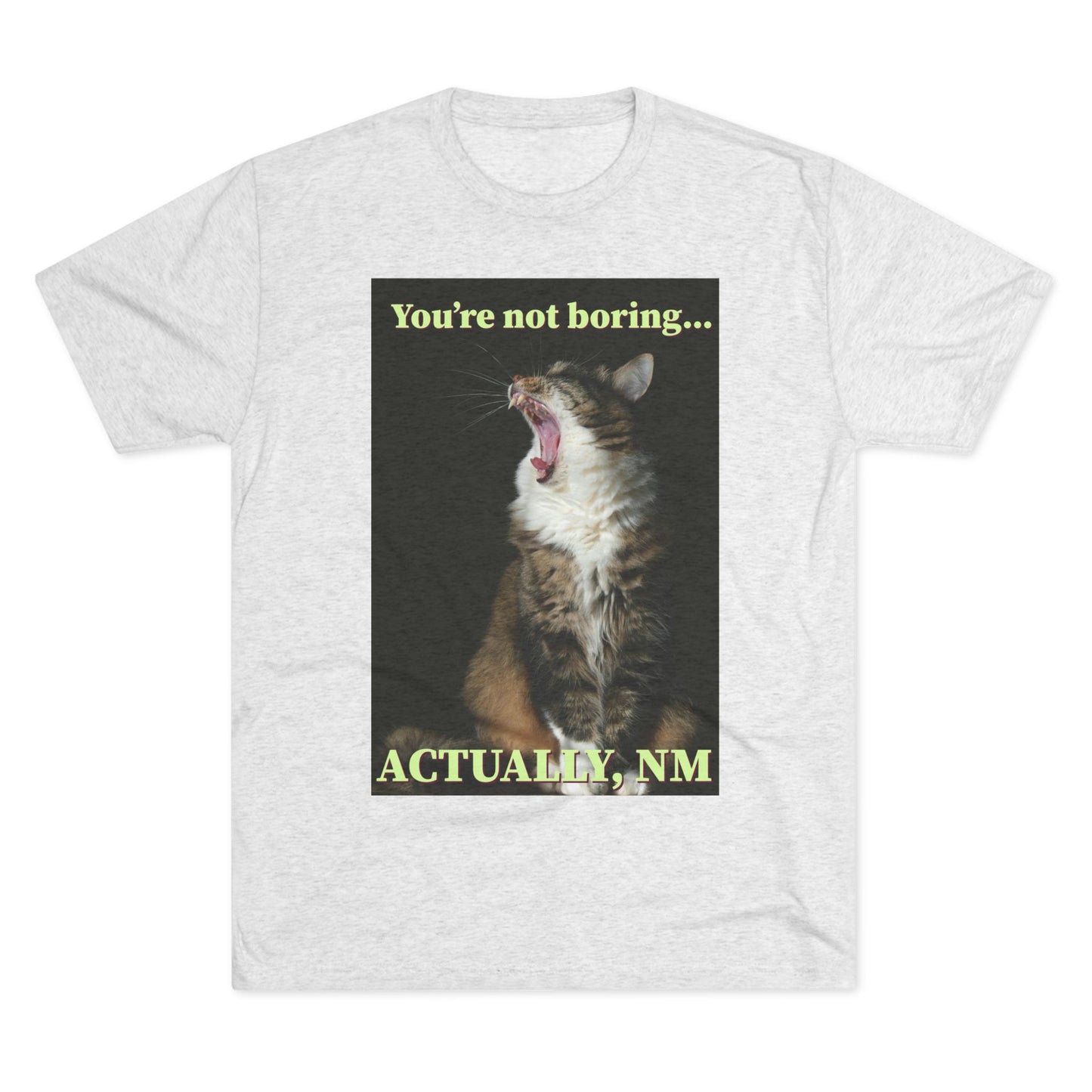 You're Not Boring, Actually NM - cat shirt - Unisex Triblend Tee