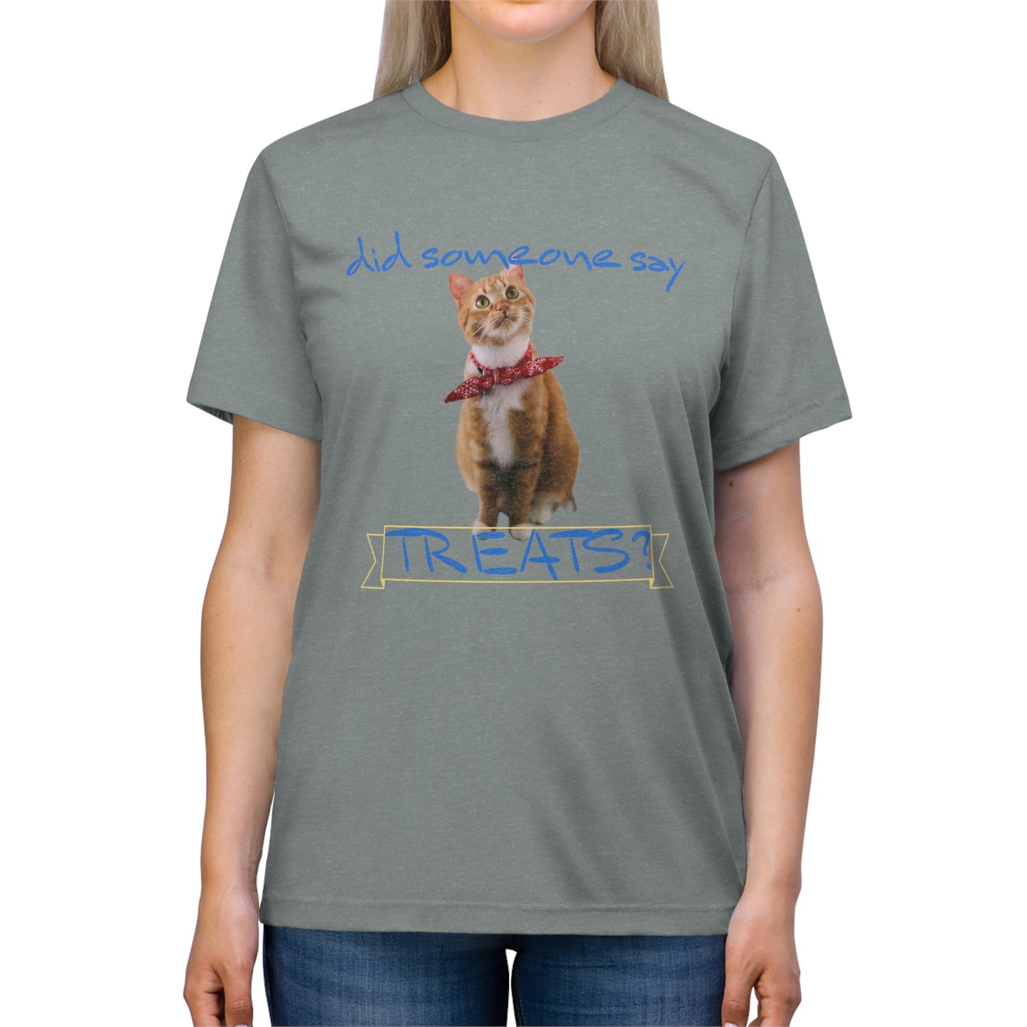 Did Somebody Say TREATS cat shirt - Unisex Triblend Tee