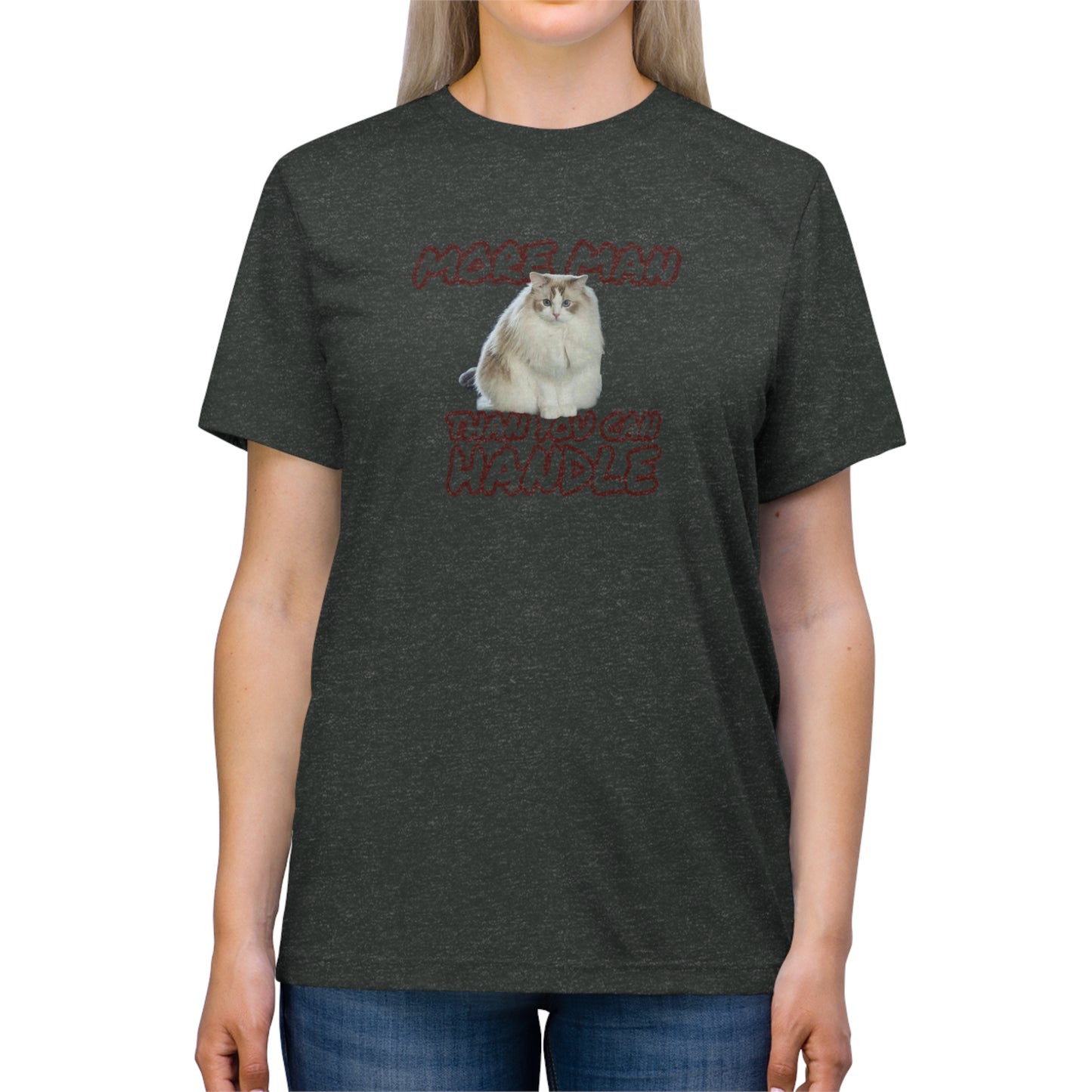 BIG BOI - cat shirt - Unisex Triblend Tee