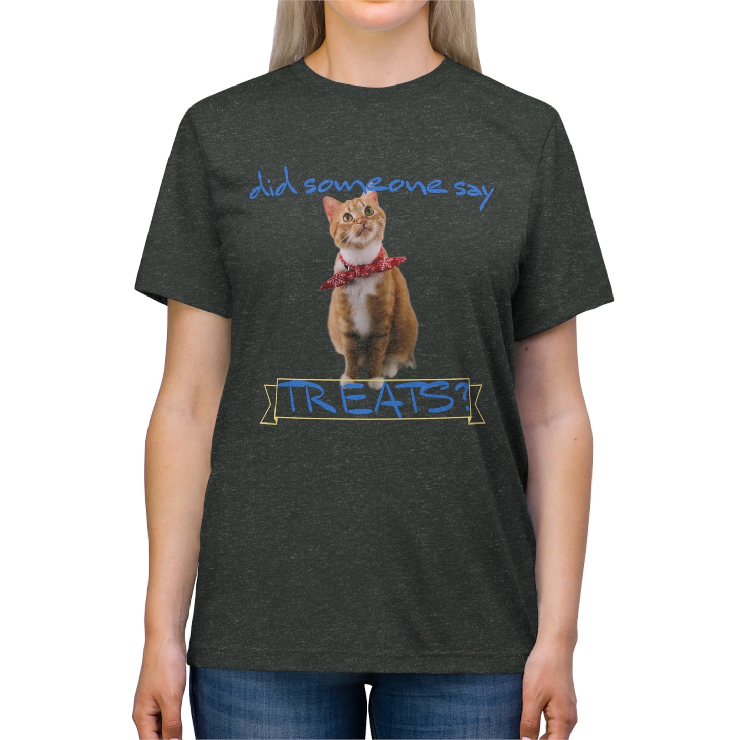 Did Somebody Say TREATS cat shirt - Unisex Triblend Tee