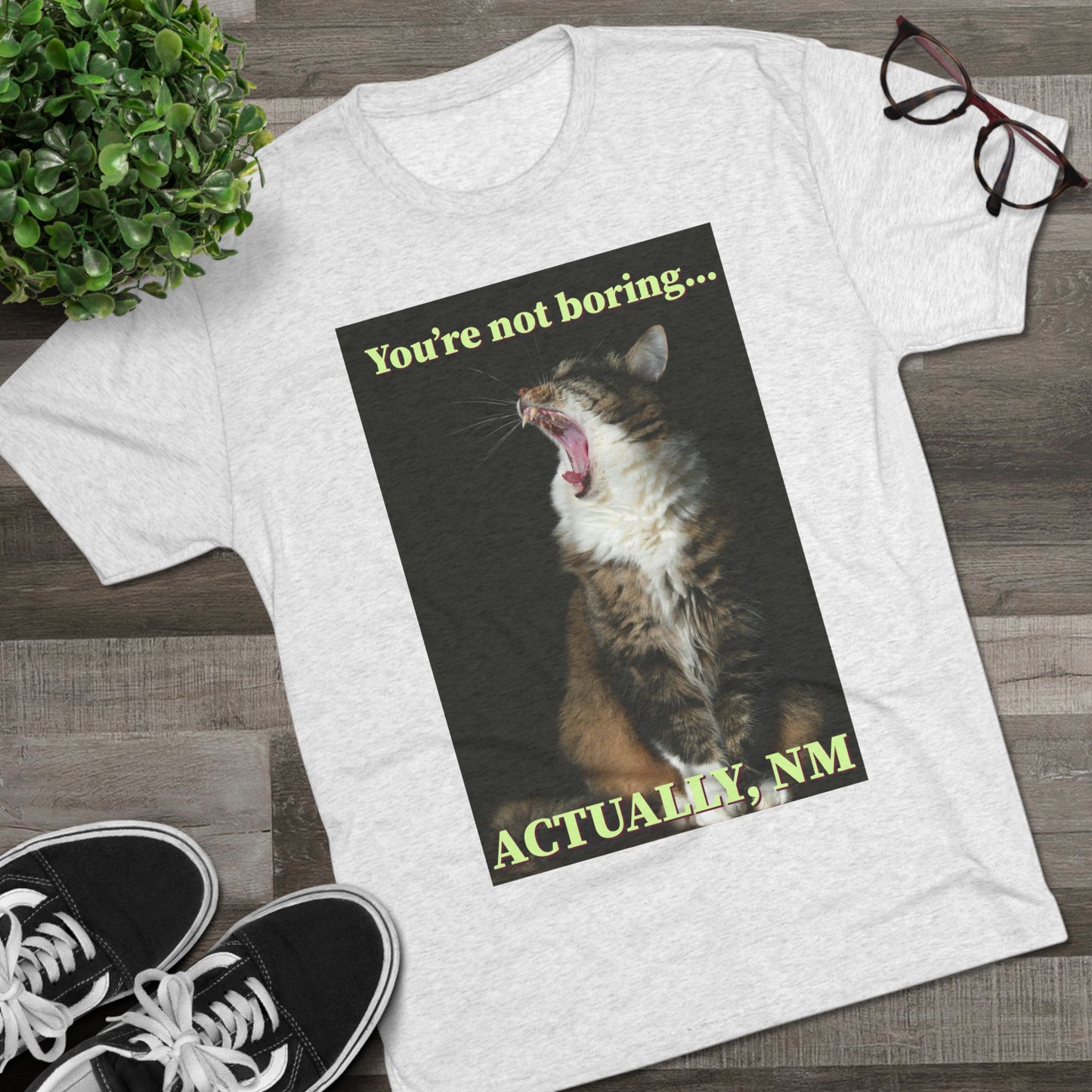 You're Not Boring, Actually NM - cat shirt - Unisex Triblend Tee