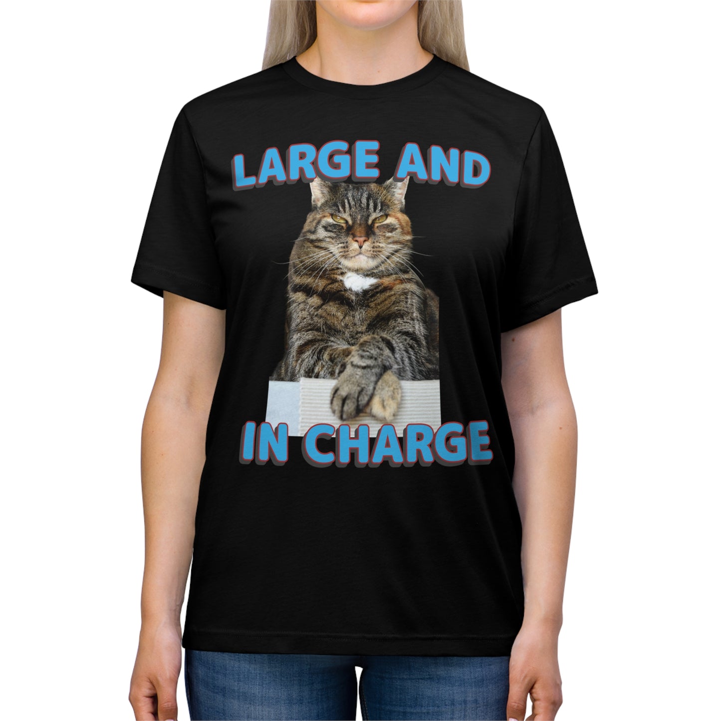 Large and in Charge cat shirt - Unisex Triblend Tee