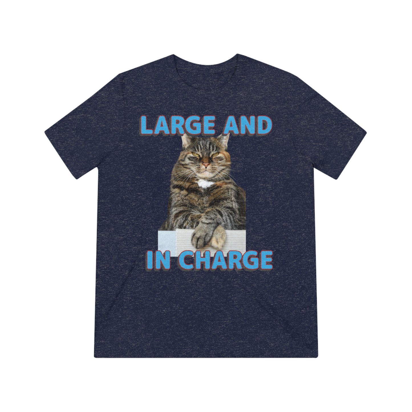 Large and in Charge cat shirt - Unisex Triblend Tee