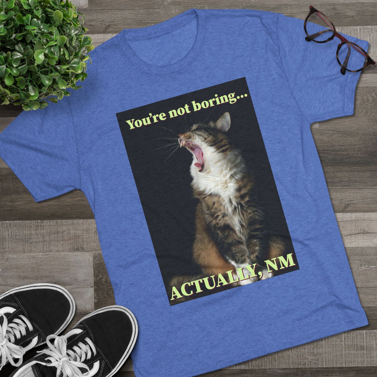 You're Not Boring, Actually NM - cat shirt - Unisex Triblend Tee