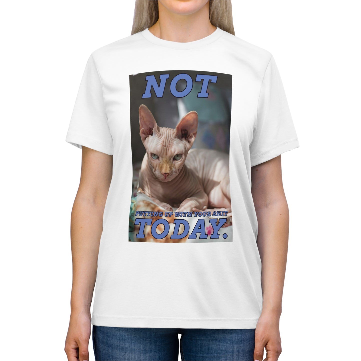 Not Today - cat shirt - Unisex Triblend Tee