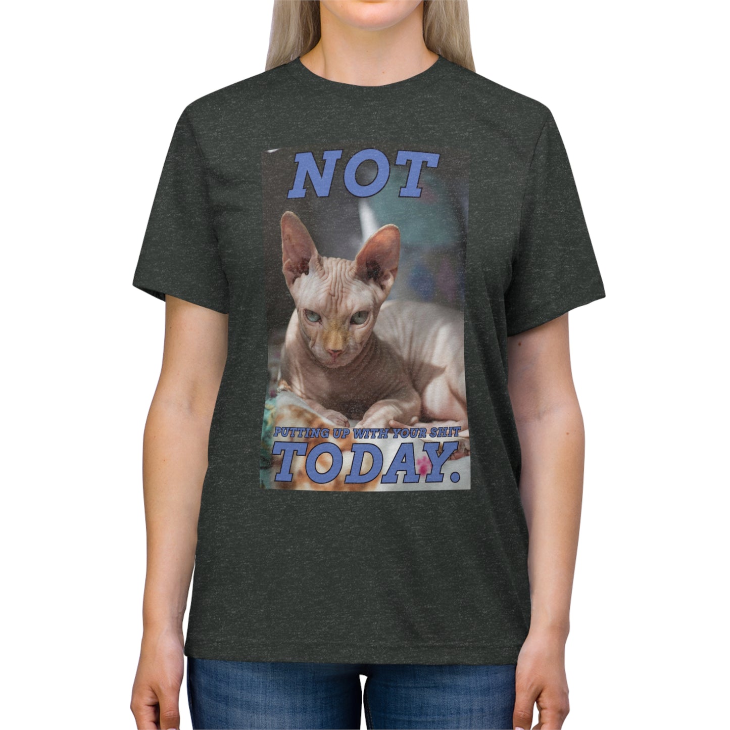 Not Today - cat shirt - Unisex Triblend Tee