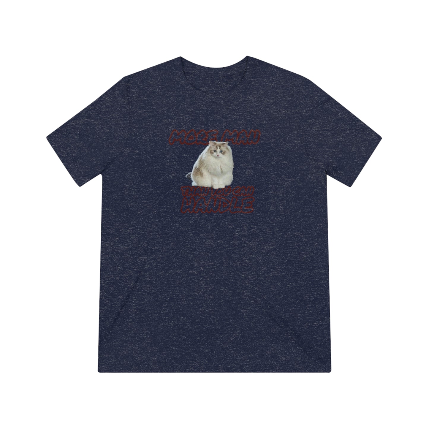 BIG BOI - cat shirt - Unisex Triblend Tee