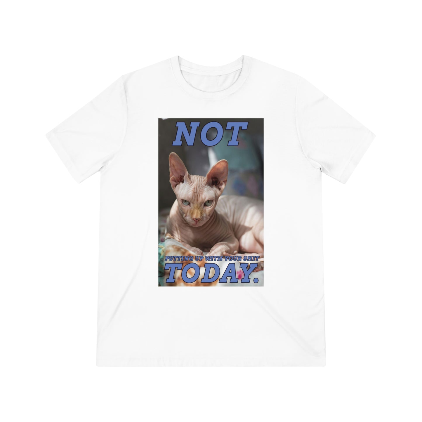 Not Today - cat shirt - Unisex Triblend Tee