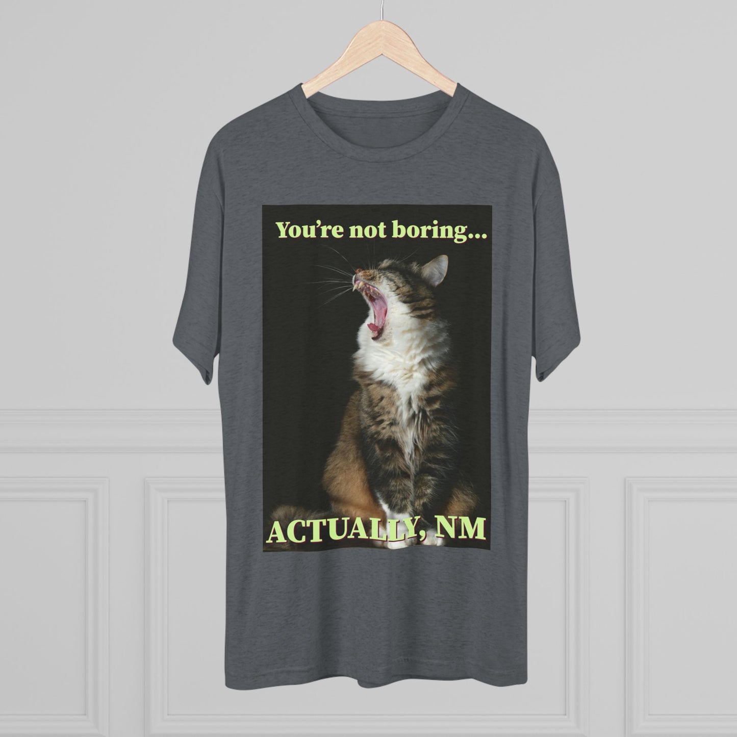 You're Not Boring, Actually NM - cat shirt - Unisex Triblend Tee