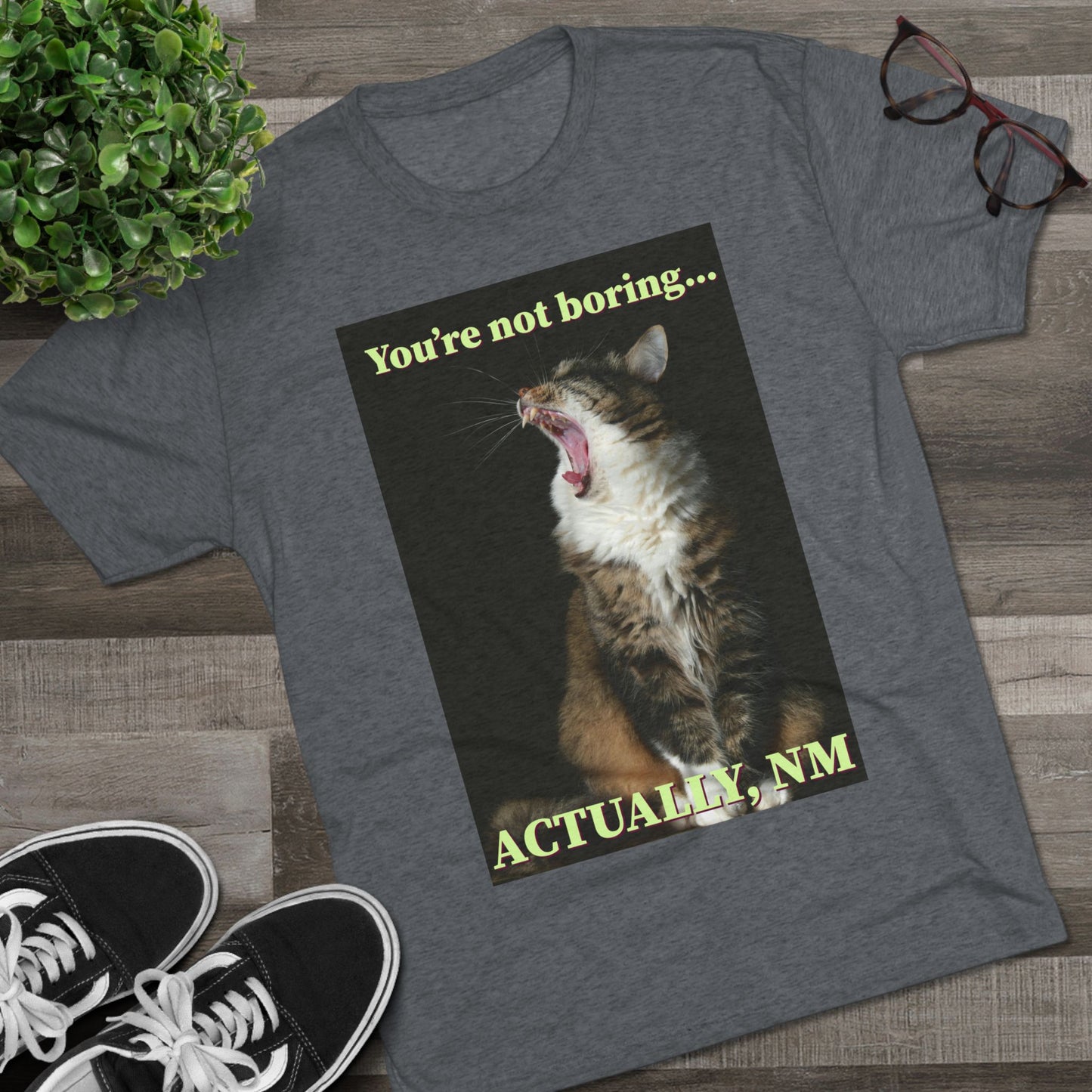 You're Not Boring, Actually NM - cat shirt - Unisex Triblend Tee