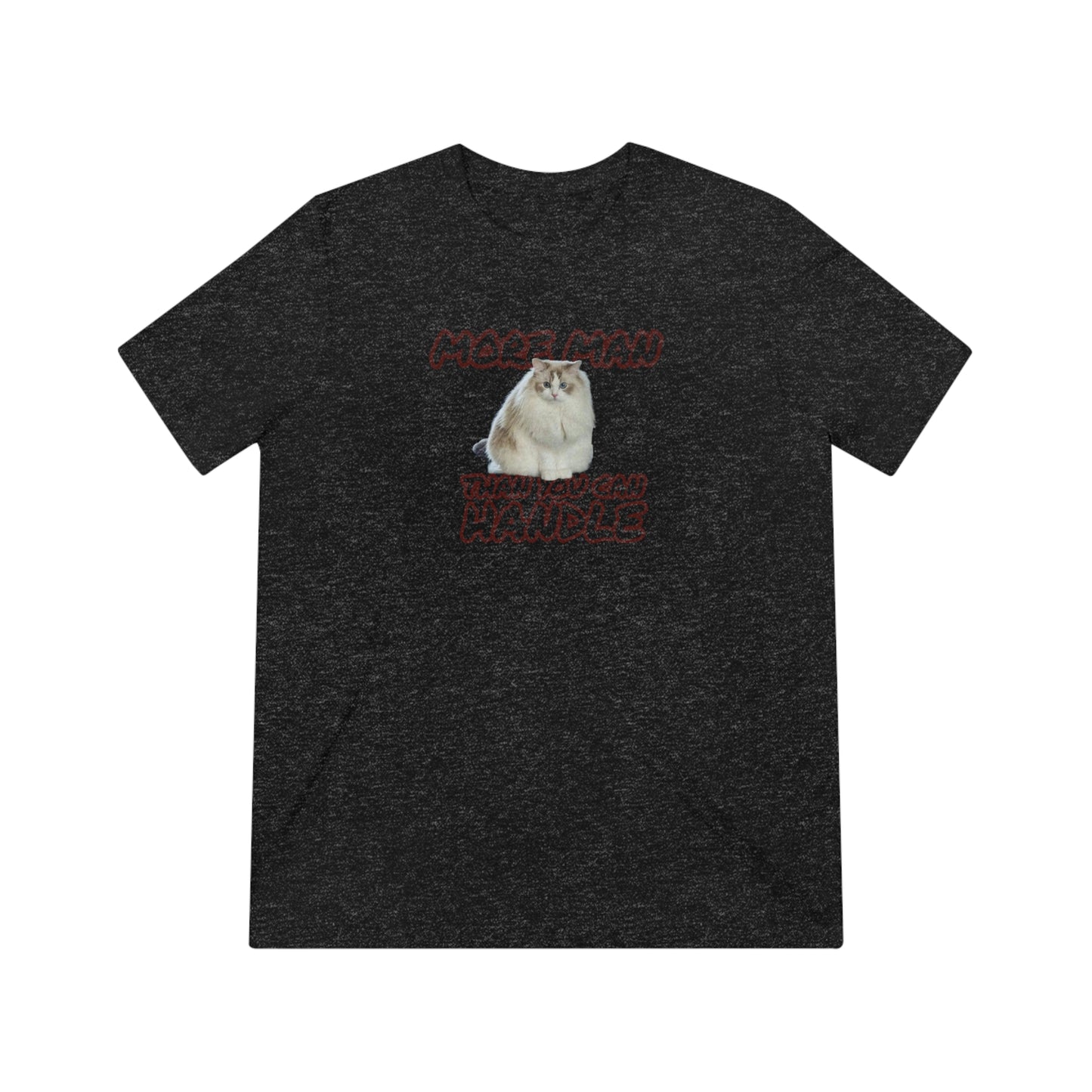 BIG BOI - cat shirt - Unisex Triblend Tee