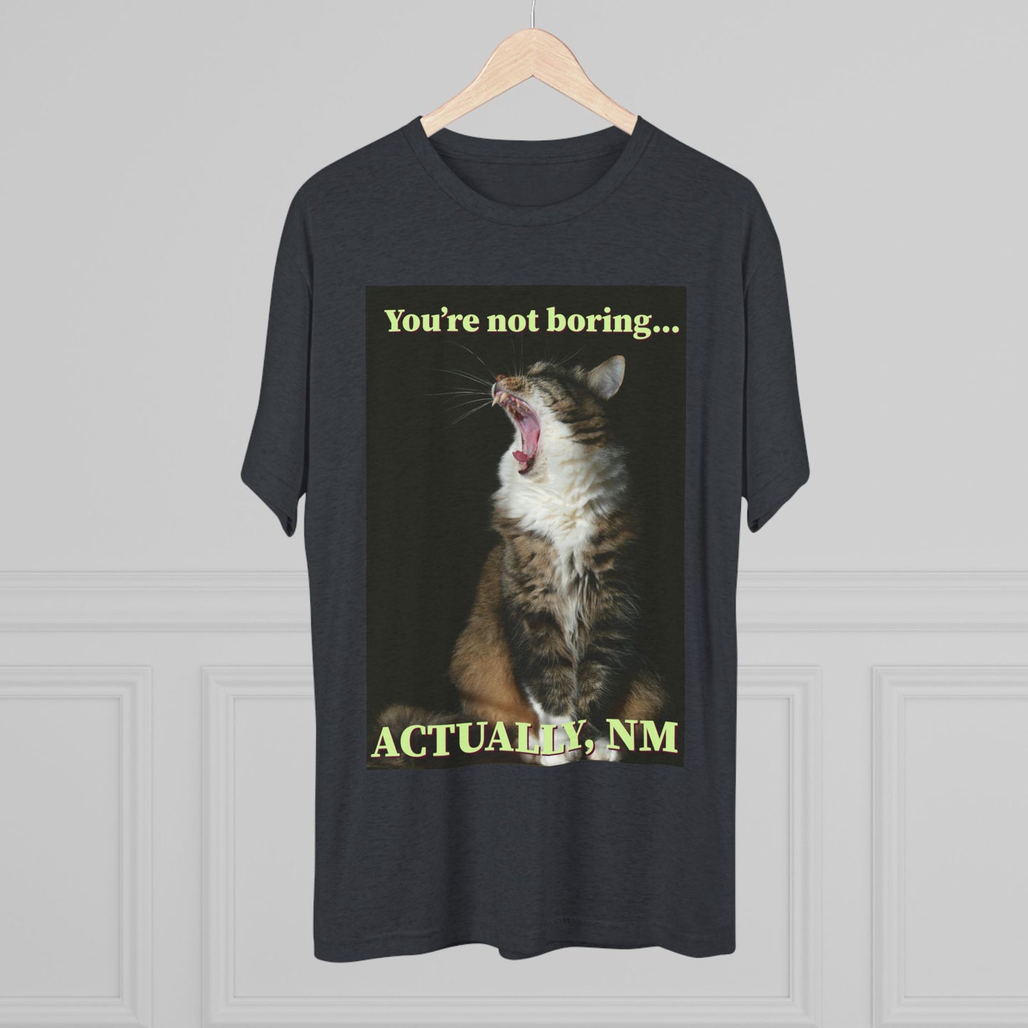 You're Not Boring, Actually NM - cat shirt - Unisex Triblend Tee