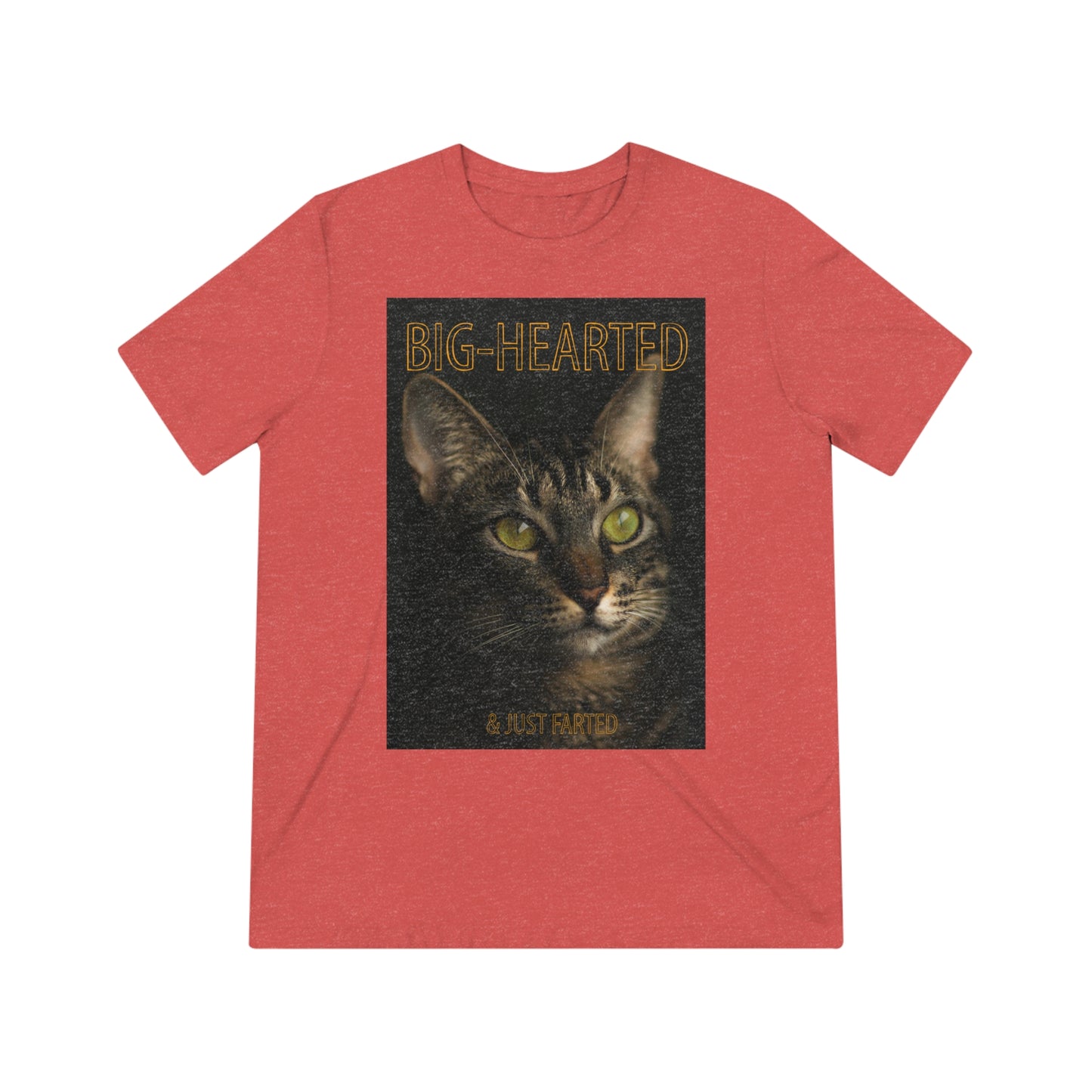 Big-Hearted, Just Farted cat shirt - Unisex Triblend Tee