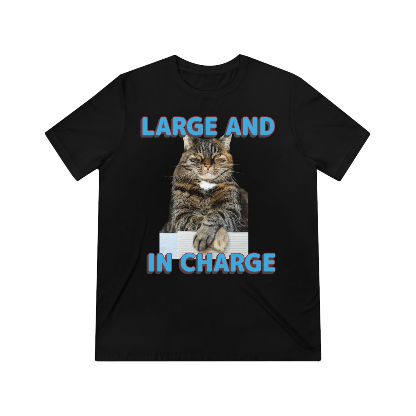 Large and in Charge cat shirt - Unisex Triblend Tee