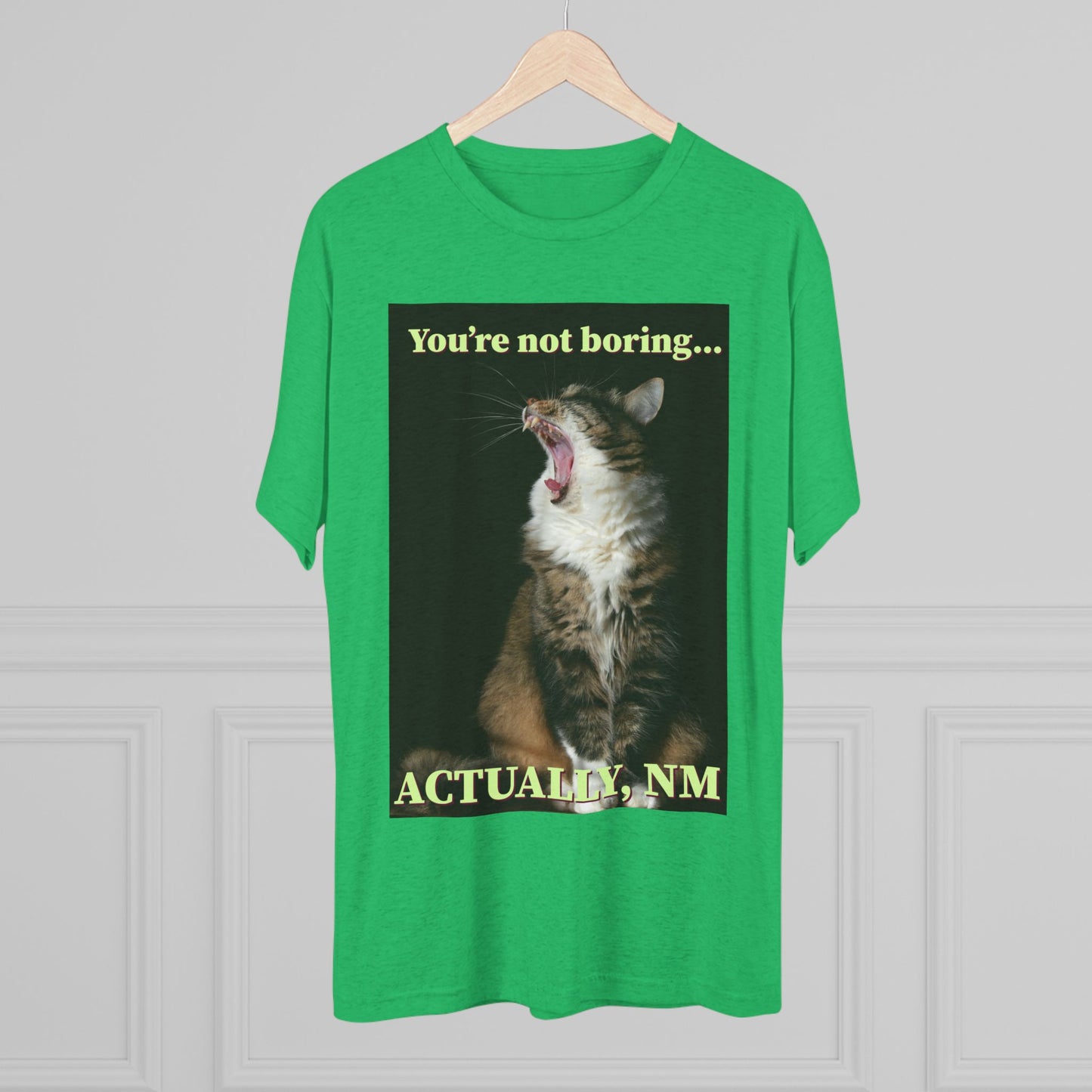 You're Not Boring, Actually NM - cat shirt - Unisex Triblend Tee