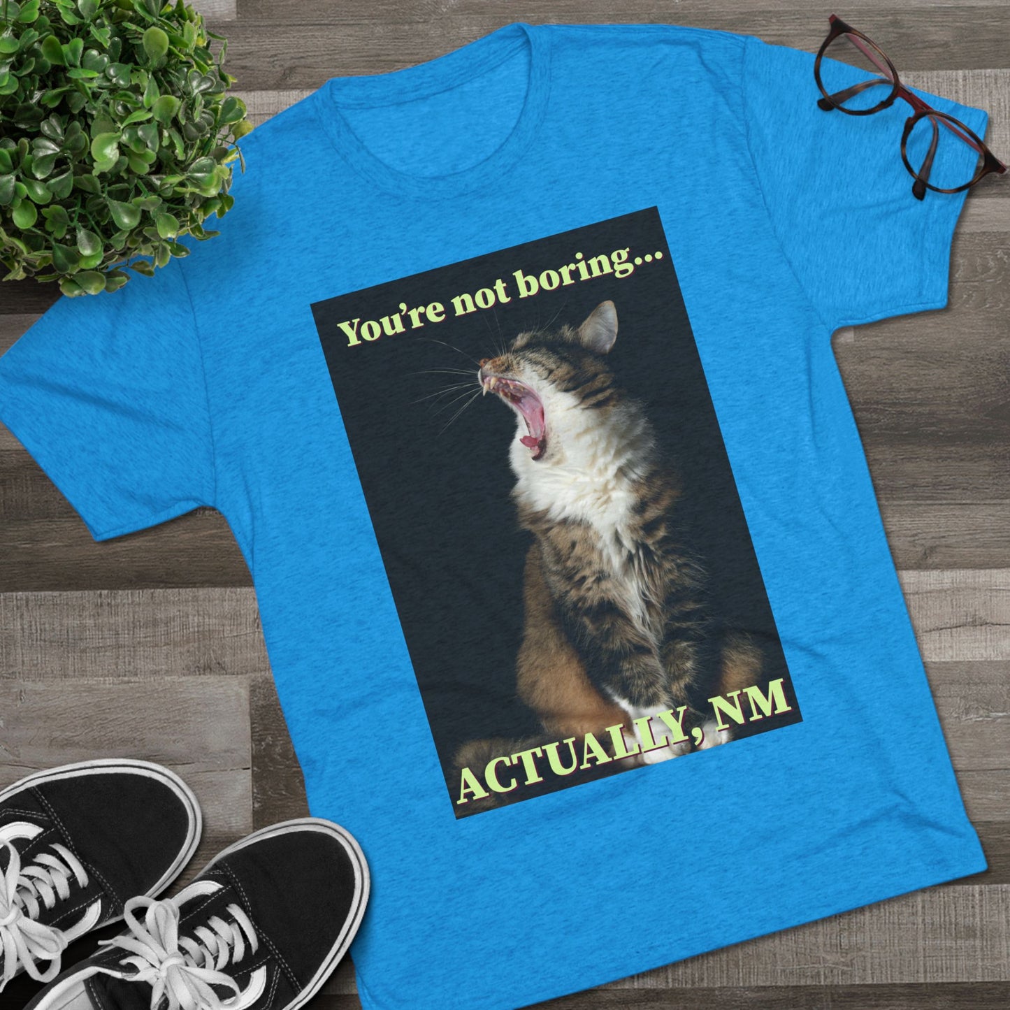 You're Not Boring, Actually NM - cat shirt - Unisex Triblend Tee