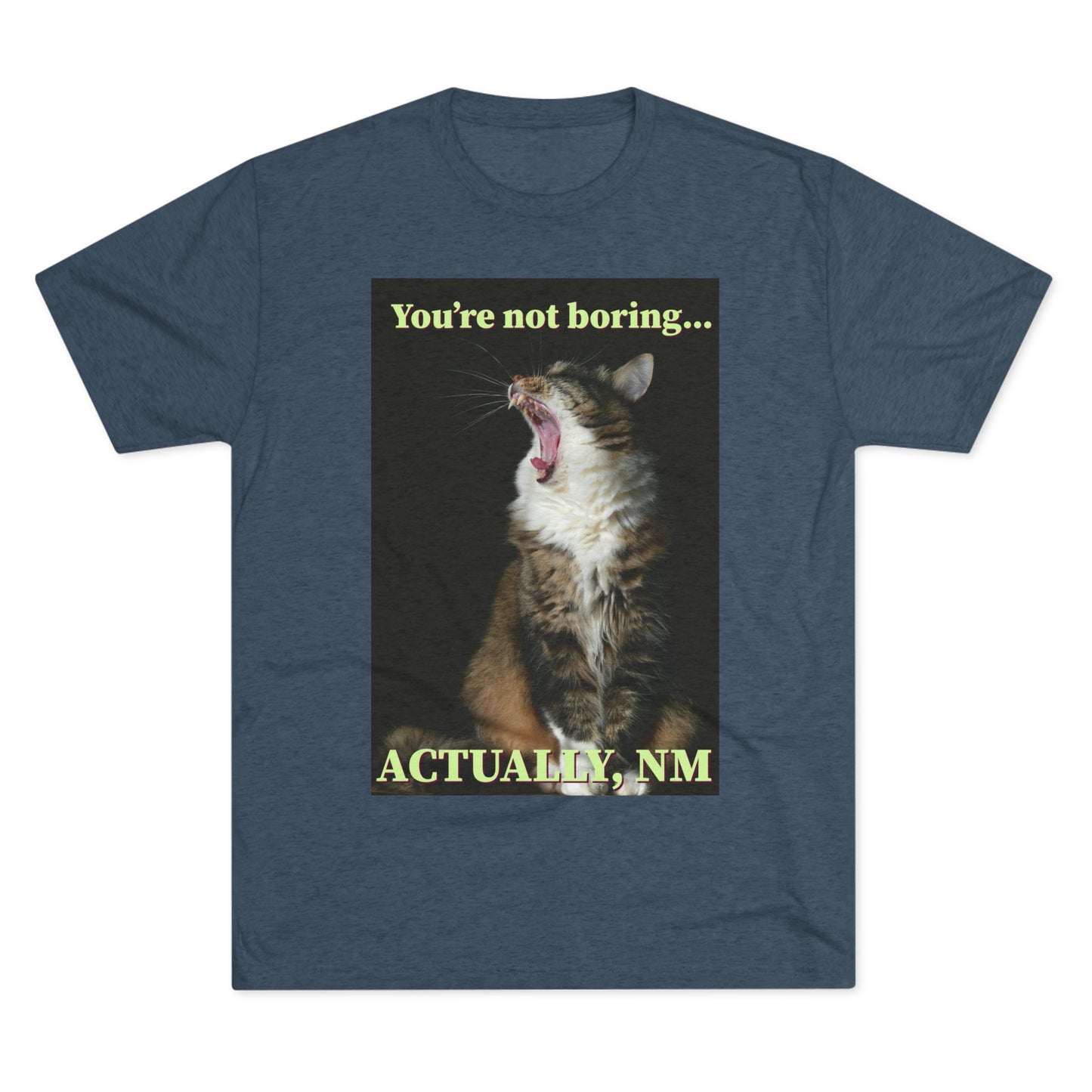 You're Not Boring, Actually NM - cat shirt - Unisex Triblend Tee