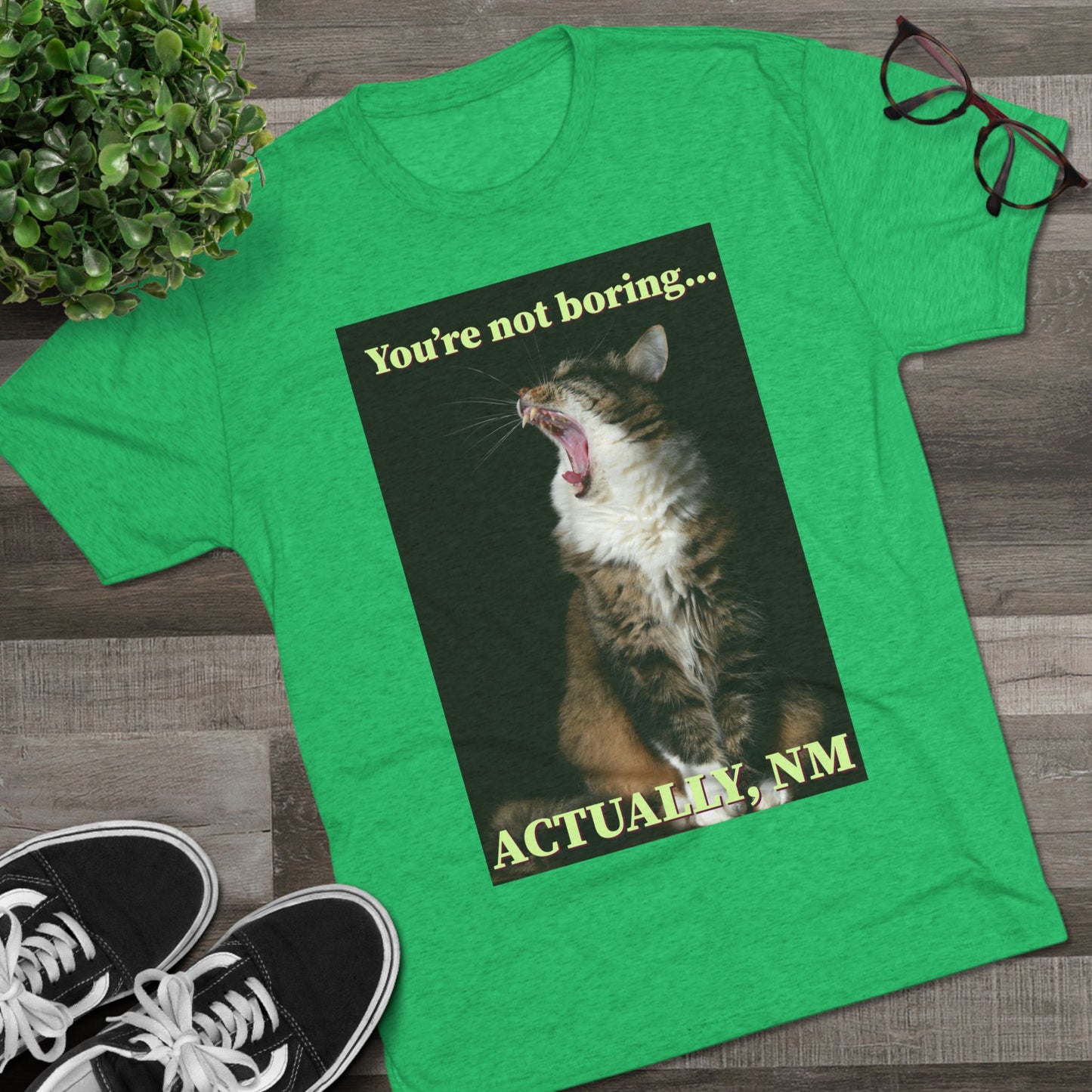 You're Not Boring, Actually NM - cat shirt - Unisex Triblend Tee