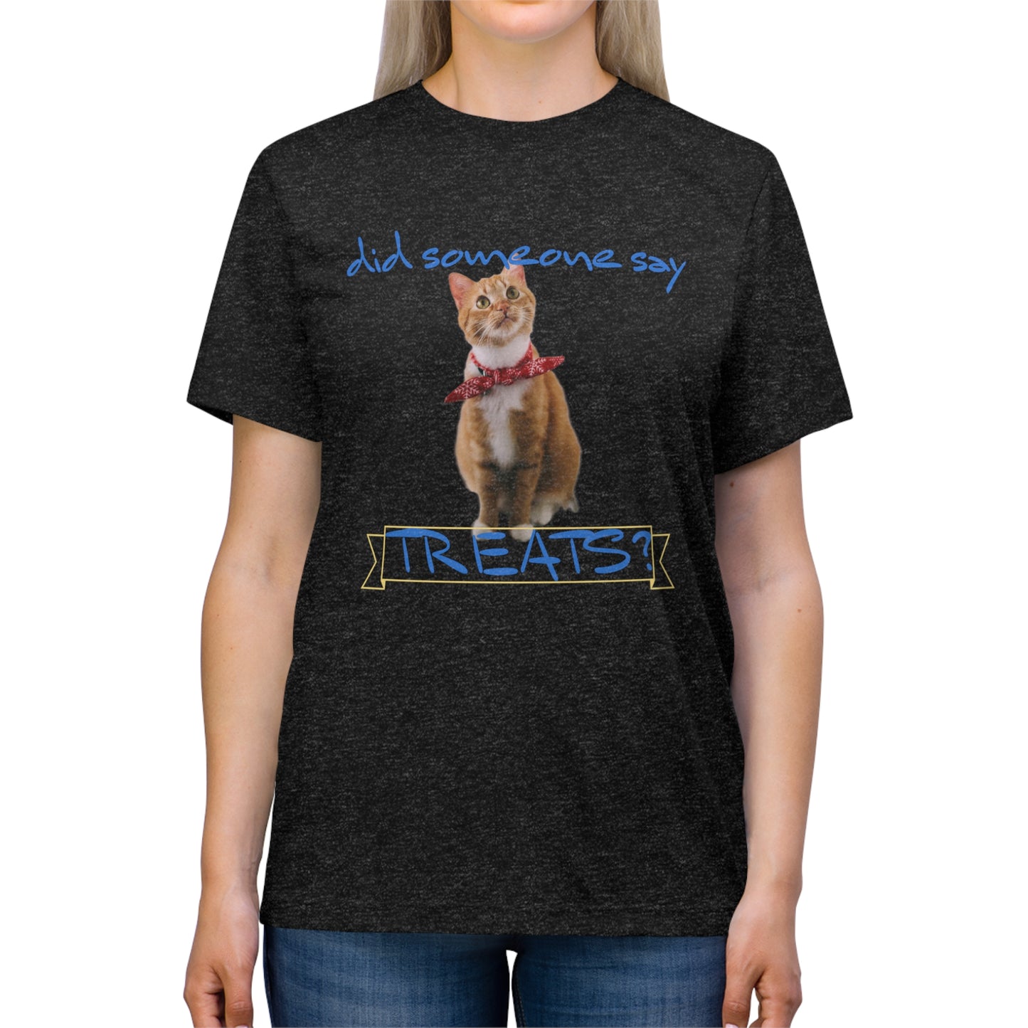 Did Somebody Say TREATS cat shirt - Unisex Triblend Tee