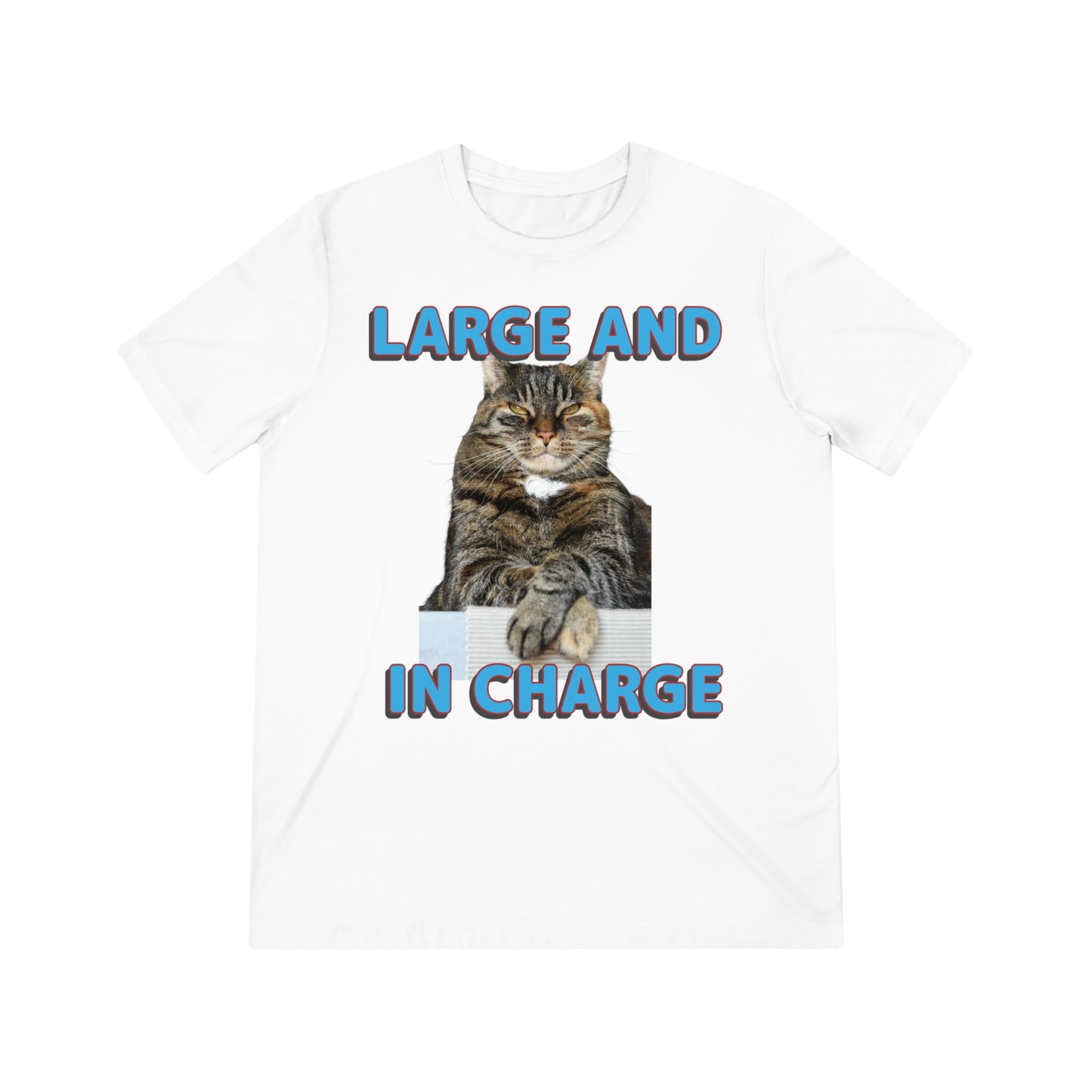 Large and in Charge cat shirt - Unisex Triblend Tee