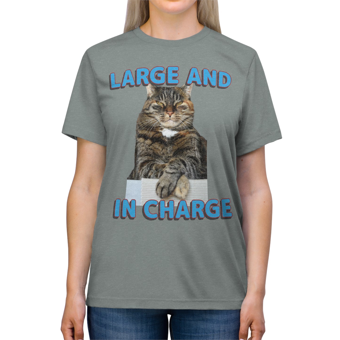 Large and in Charge cat shirt - Unisex Triblend Tee