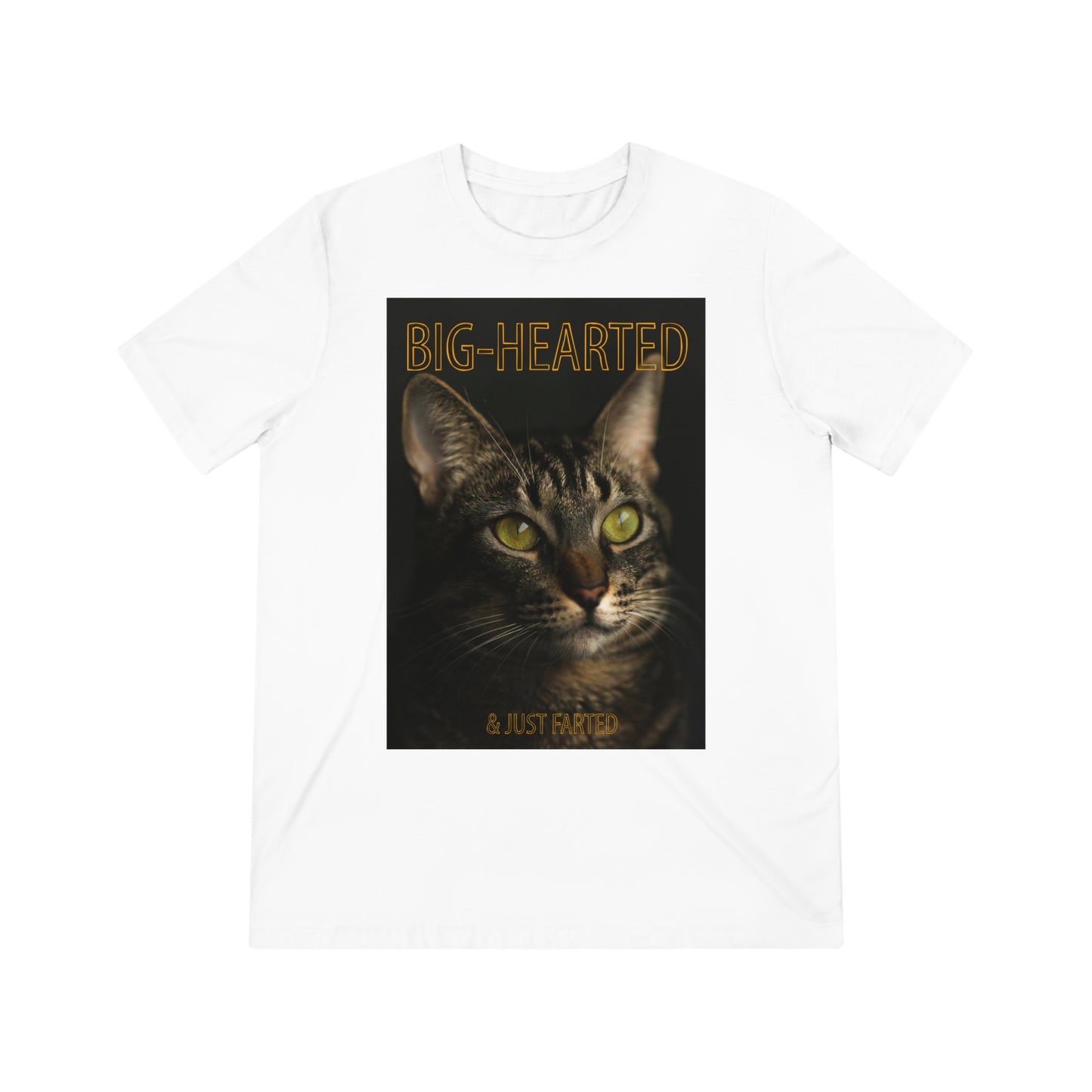 Big-Hearted, Just Farted cat shirt - Unisex Triblend Tee