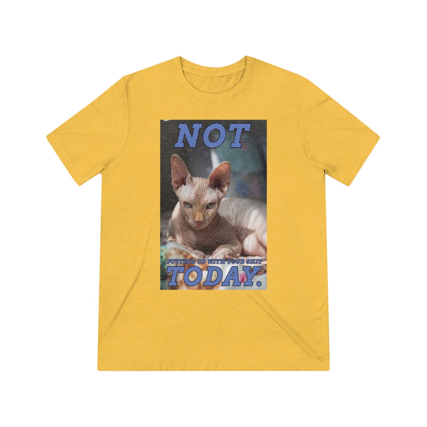 Not Today - cat shirt - Unisex Triblend Tee