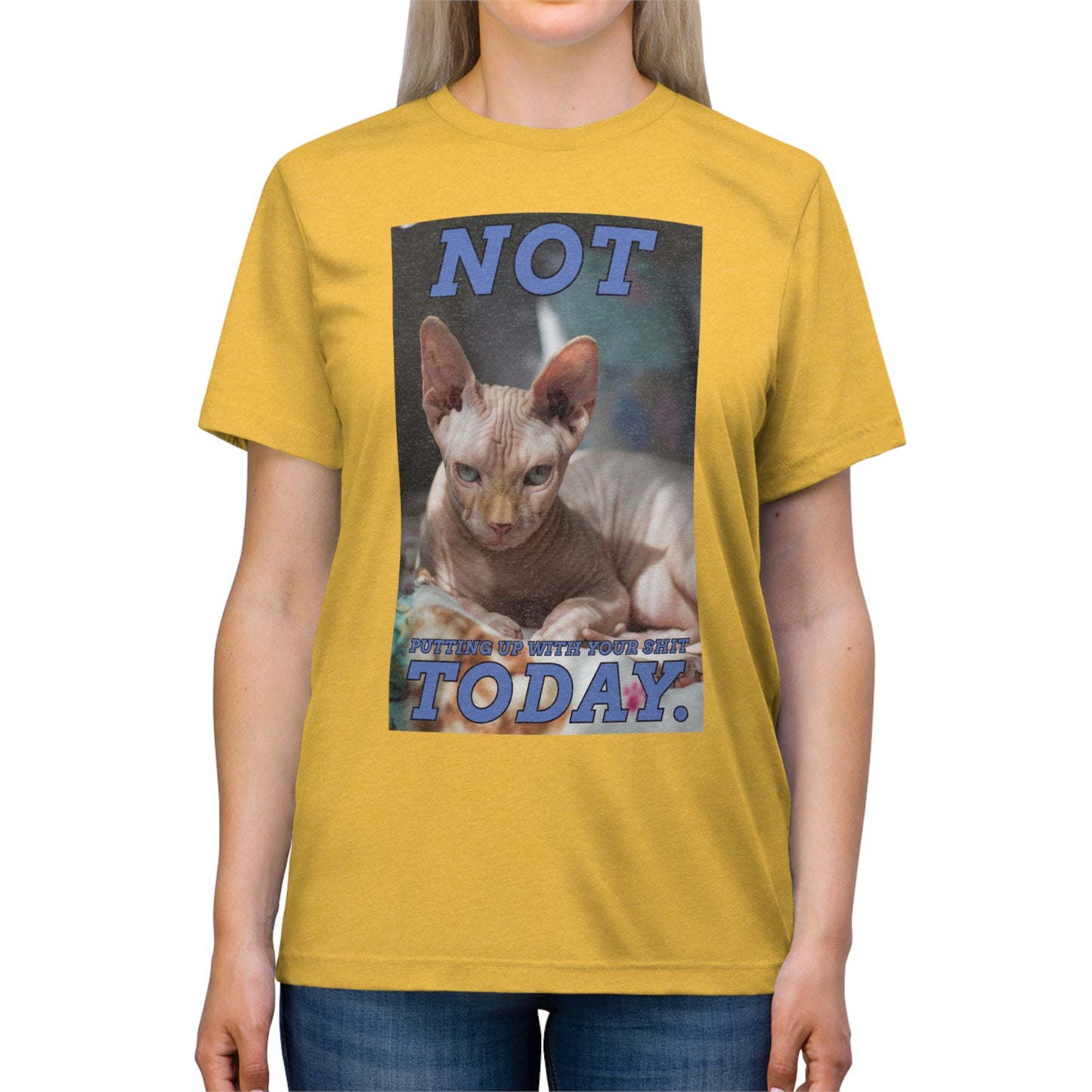 Not Today - cat shirt - Unisex Triblend Tee