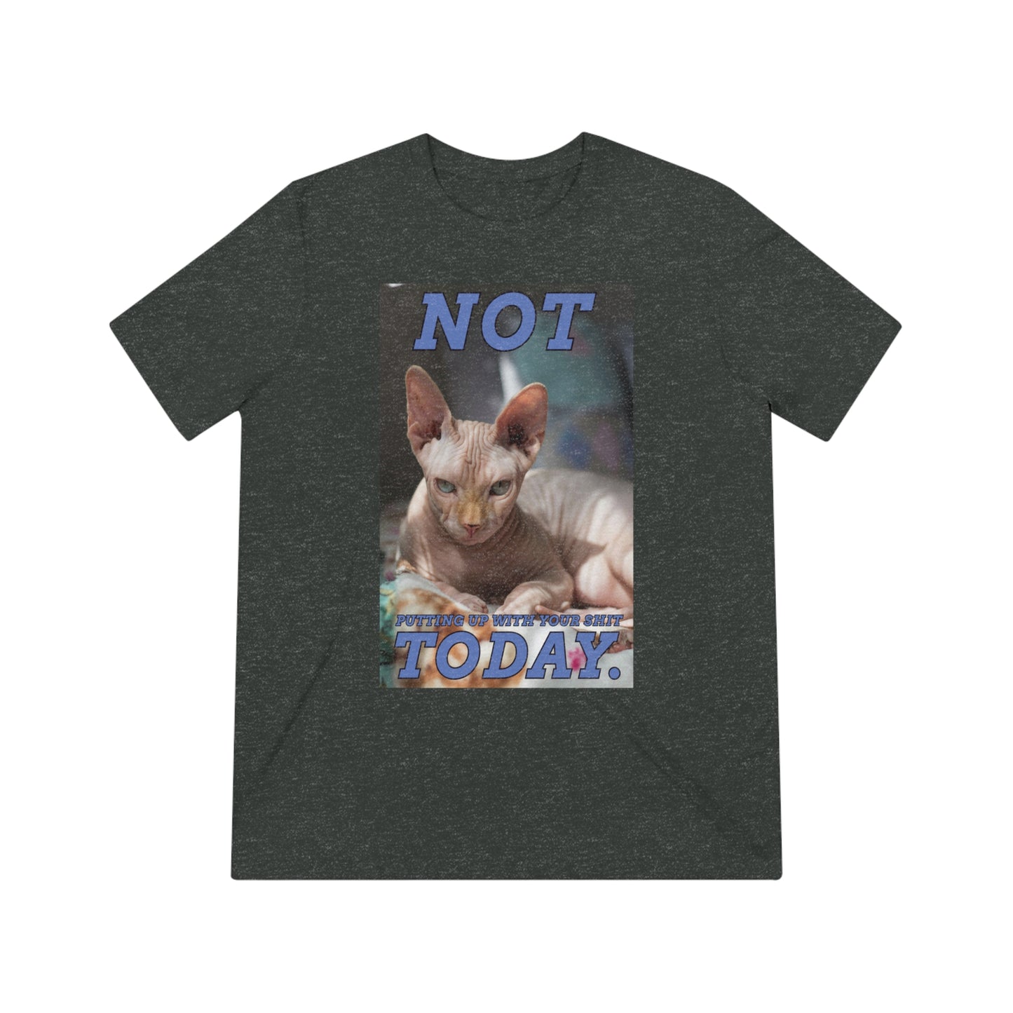 Not Today - cat shirt - Unisex Triblend Tee