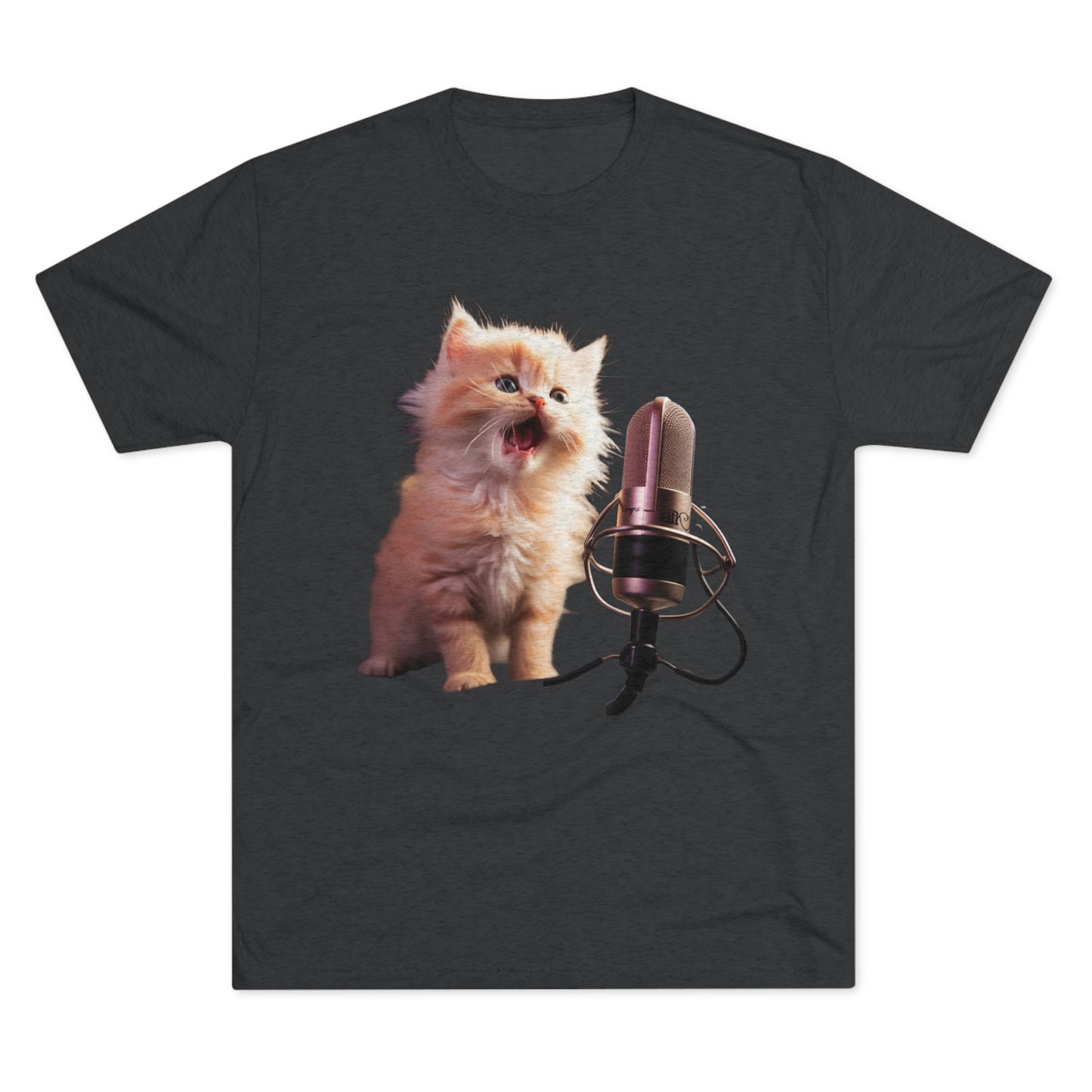 Lil Kitty on the Mic