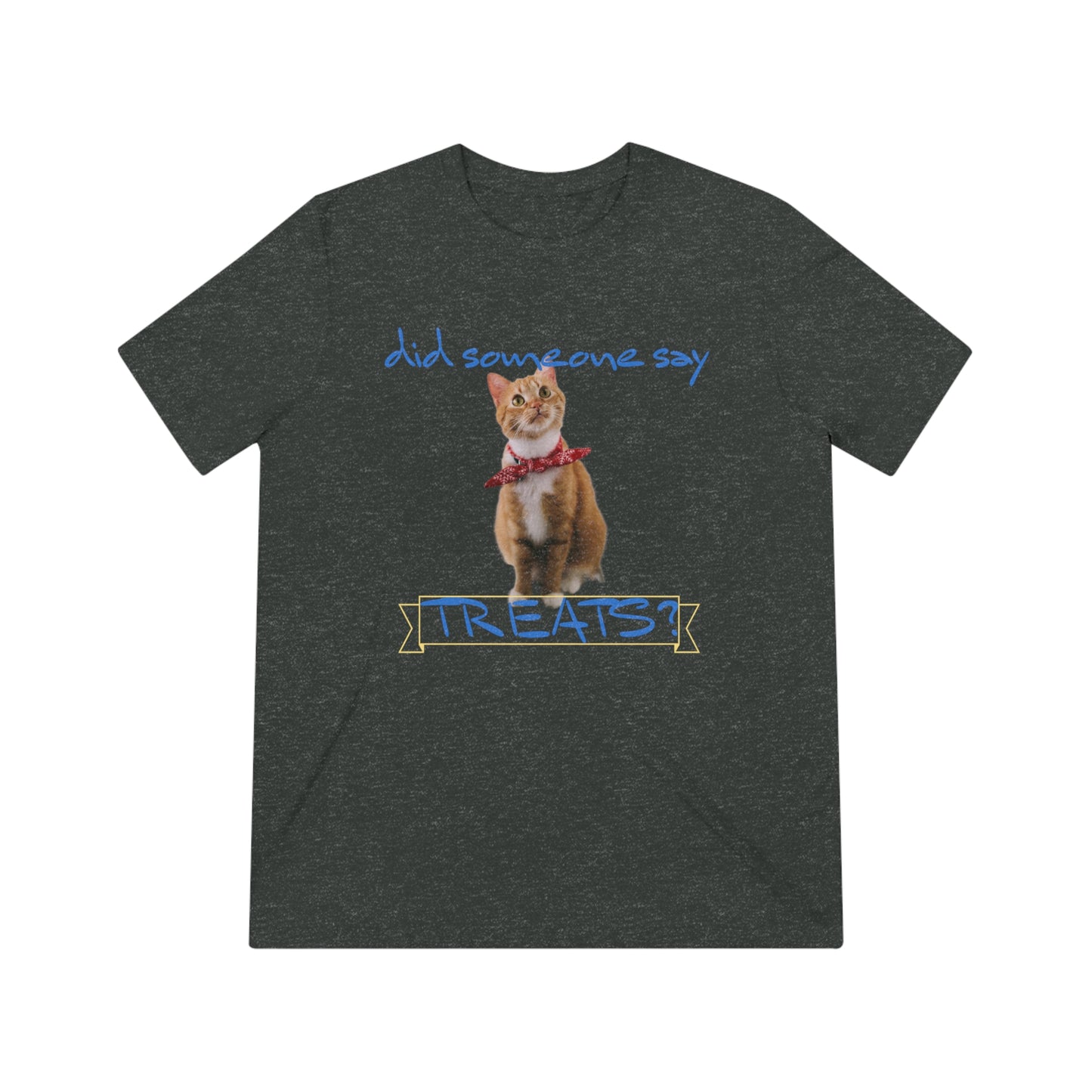 Did Somebody Say TREATS cat shirt - Unisex Triblend Tee