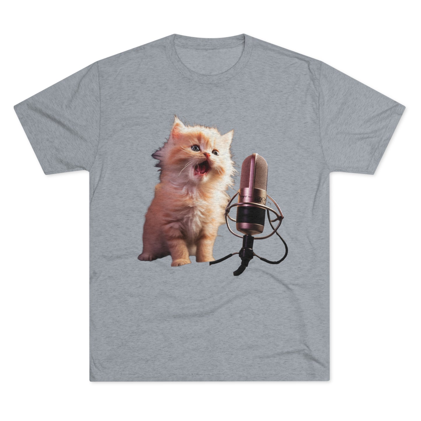 Lil Kitty on the Mic